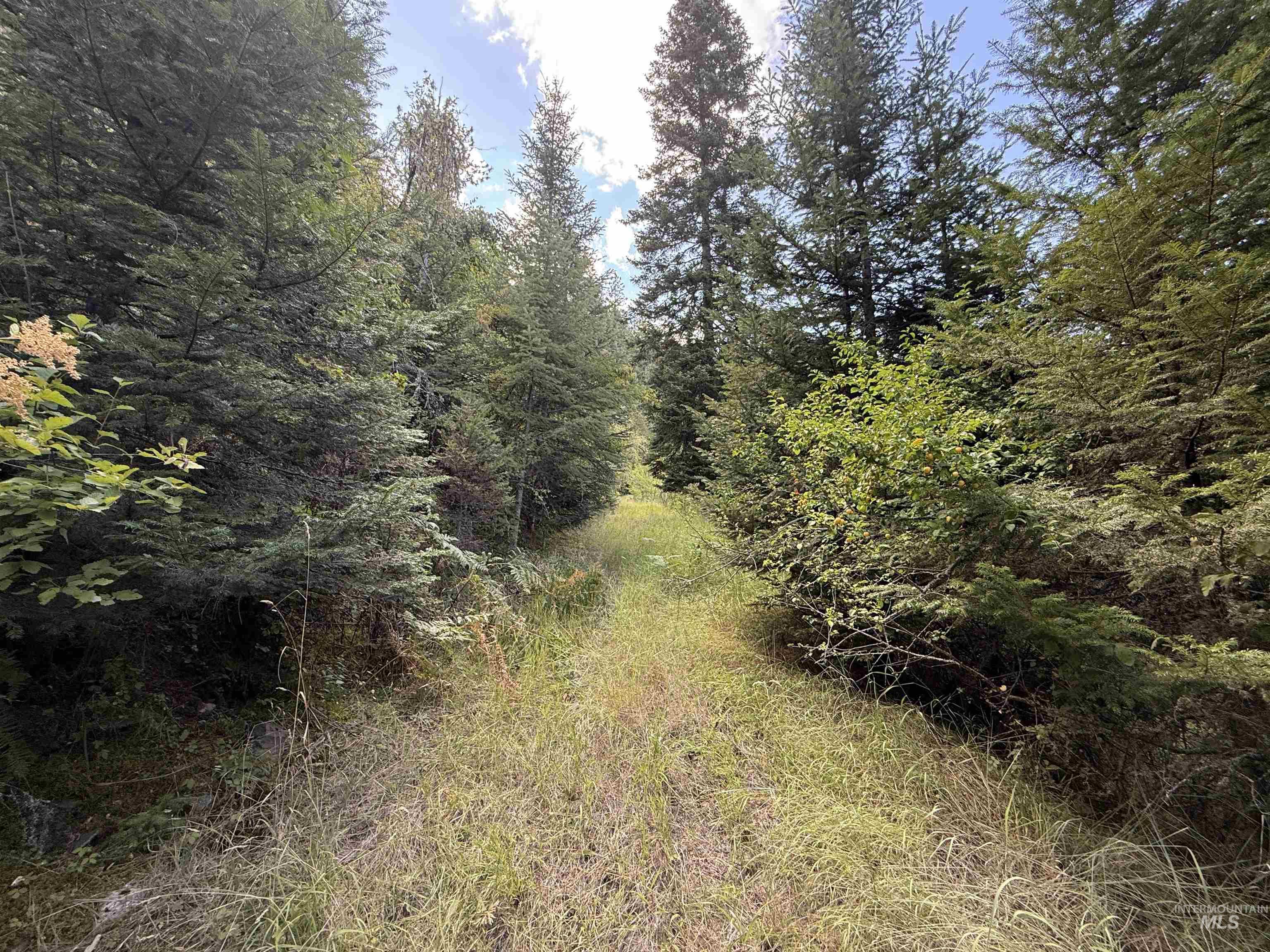 861 Highway 14, Grangeville, Idaho 83530, Land For Sale, Price $229,000,MLS 98972343