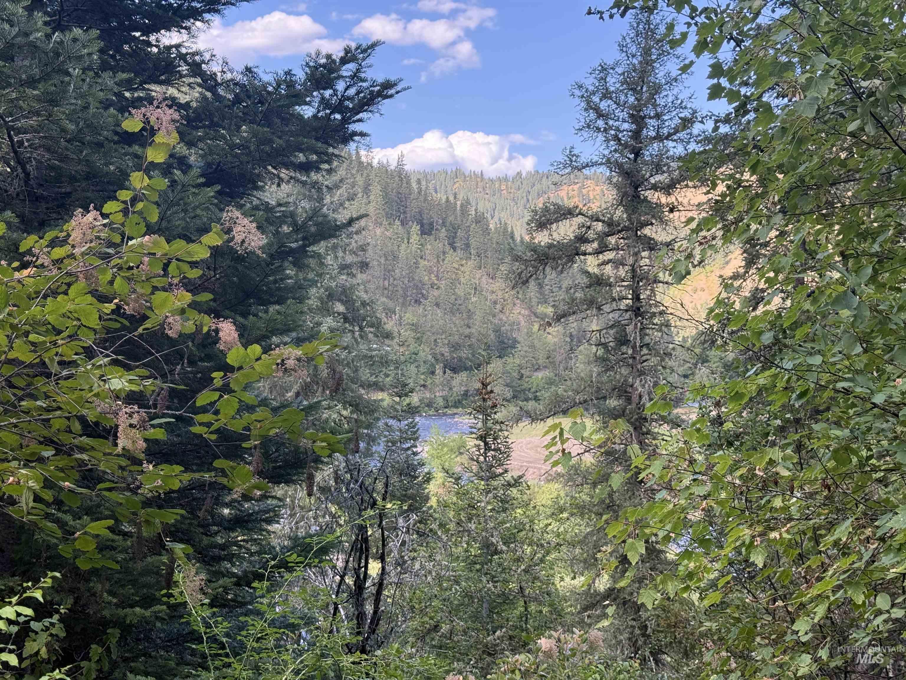 861 Highway 14, Grangeville, Idaho 83530, Land For Sale, Price $229,000,MLS 98972343