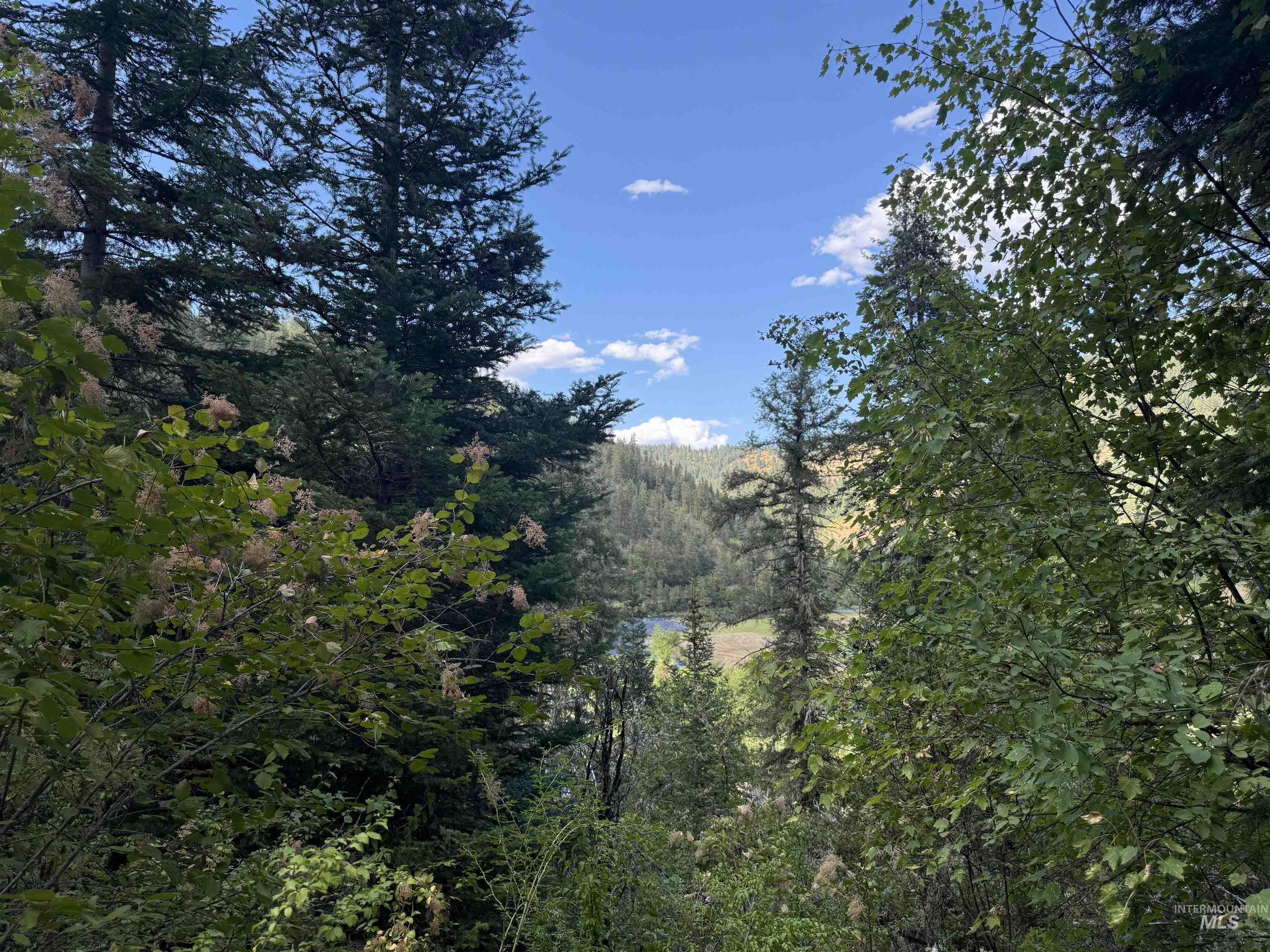 861 Highway 14, Grangeville, Idaho 83530, Land For Sale, Price $229,000,MLS 98972343