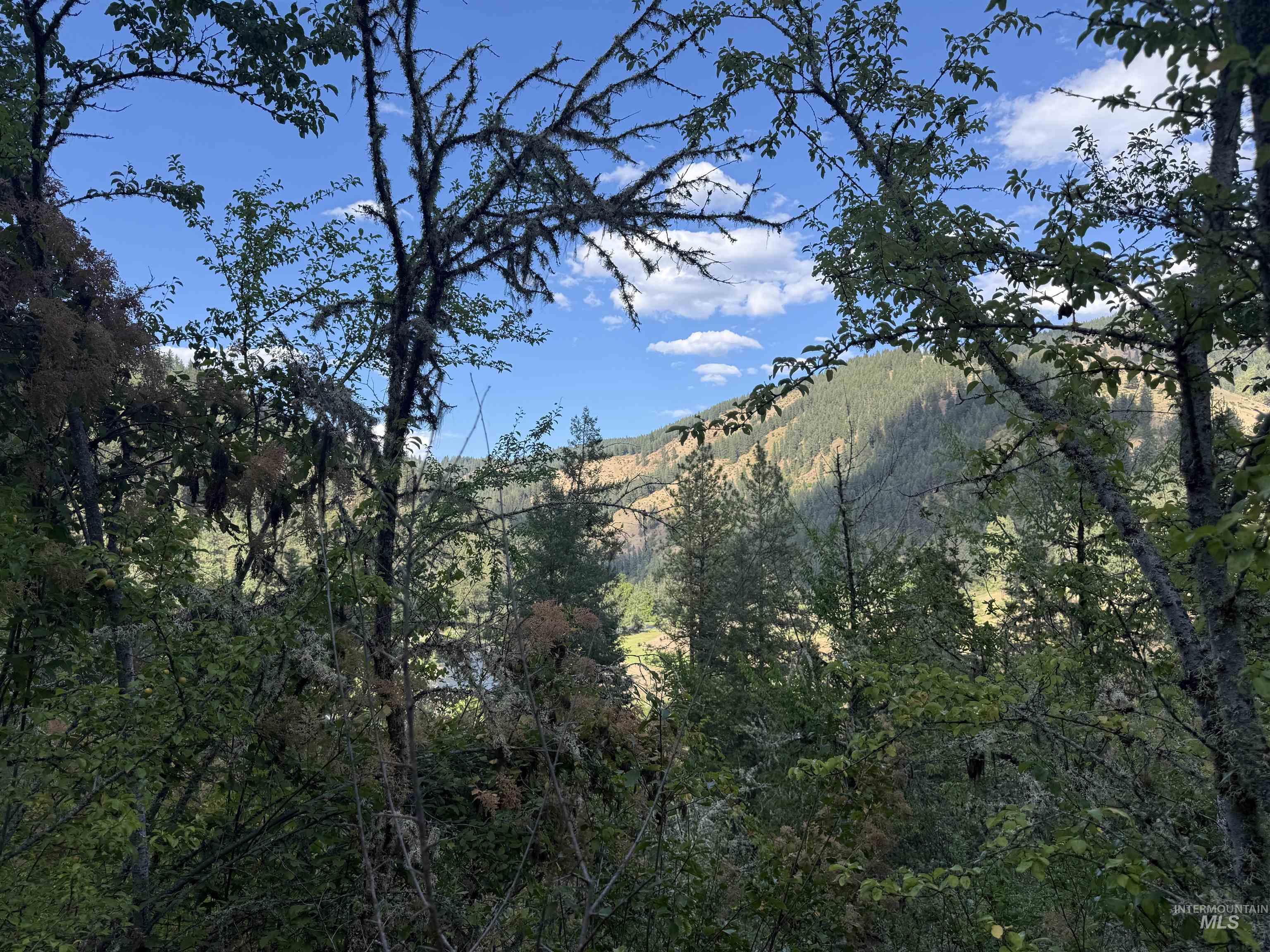 861 Highway 14, Grangeville, Idaho 83530, Land For Sale, Price $229,000,MLS 98972343