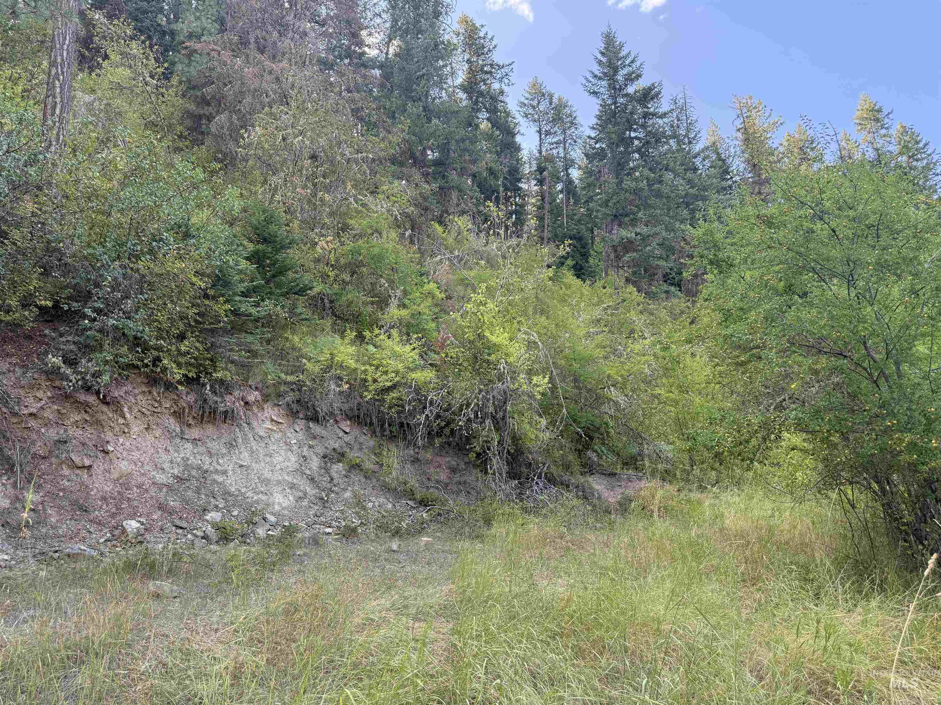 861 Highway 14, Grangeville, Idaho 83530, Land For Sale, Price $229,000,MLS 98972343