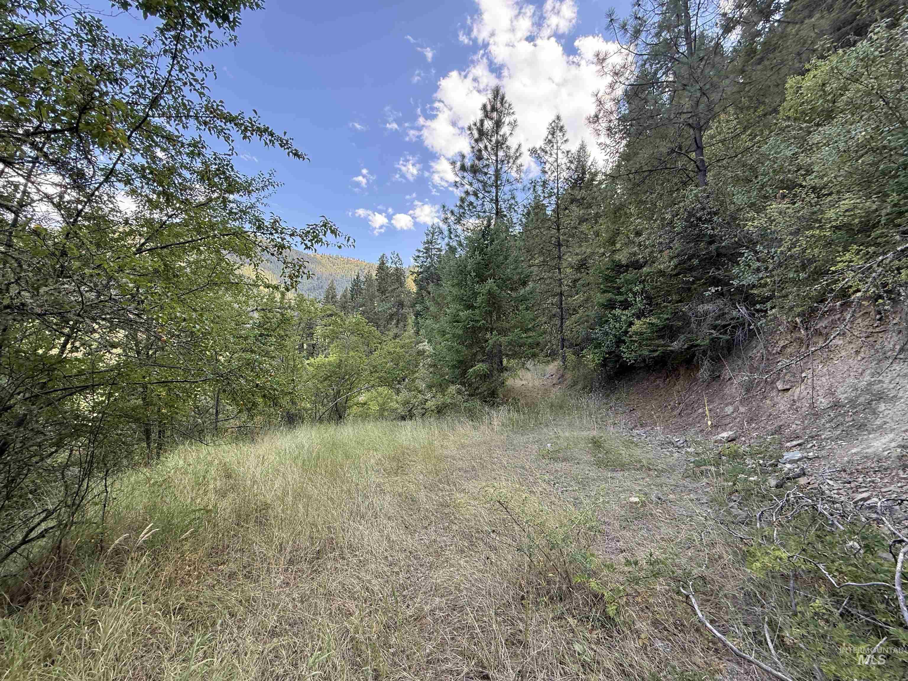 861 Highway 14, Grangeville, Idaho 83530, Land For Sale, Price $229,000,MLS 98972343