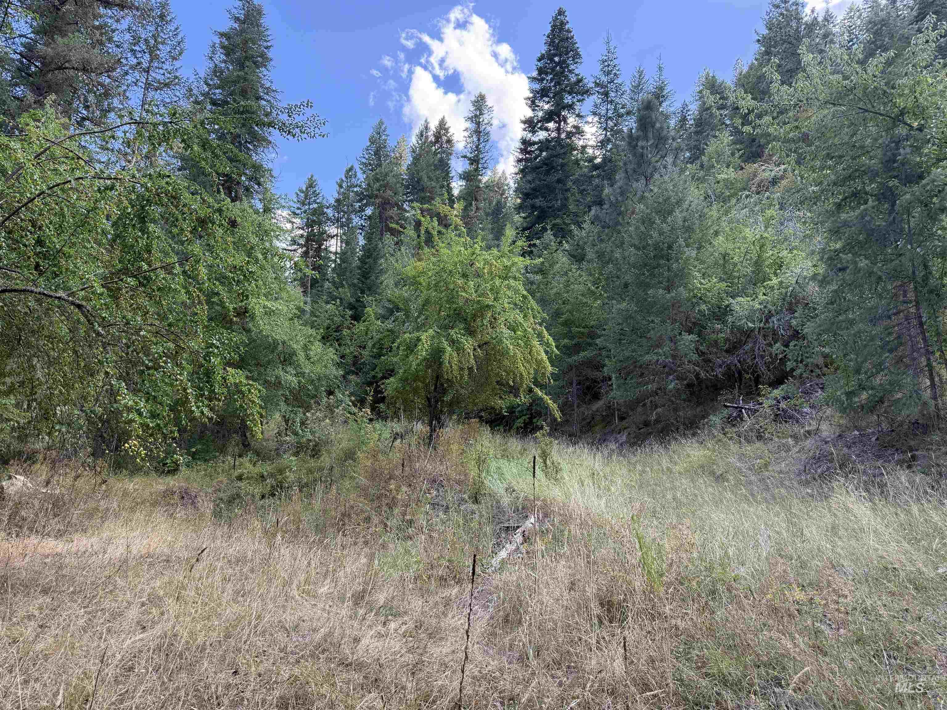 861 Highway 14, Grangeville, Idaho 83530, Land For Sale, Price $229,000,MLS 98972343
