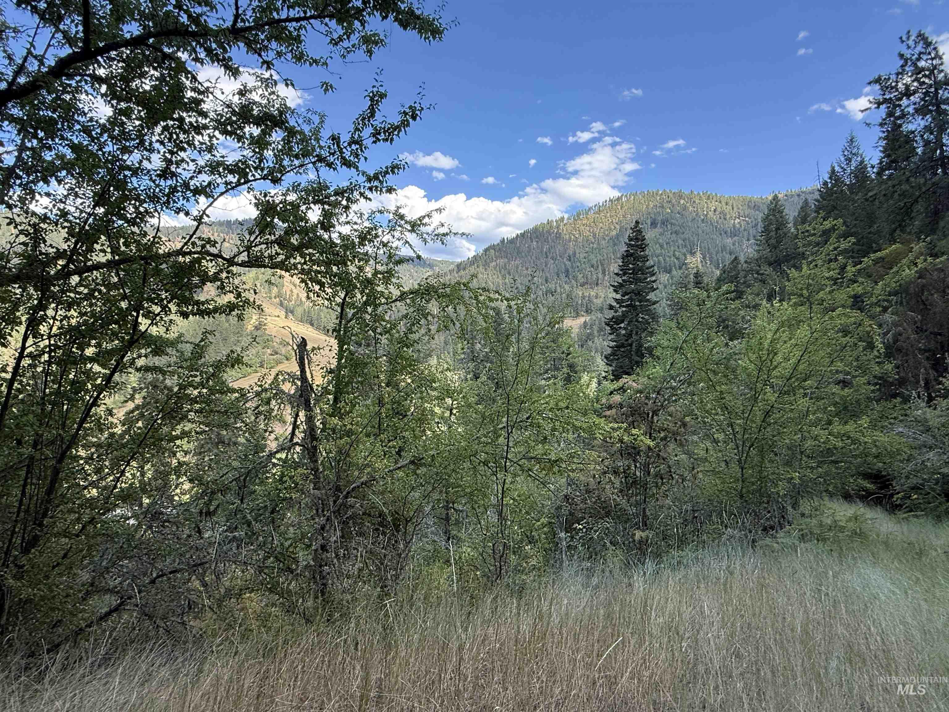 861 Highway 14, Grangeville, Idaho 83530, Land For Sale, Price $229,000,MLS 98972343