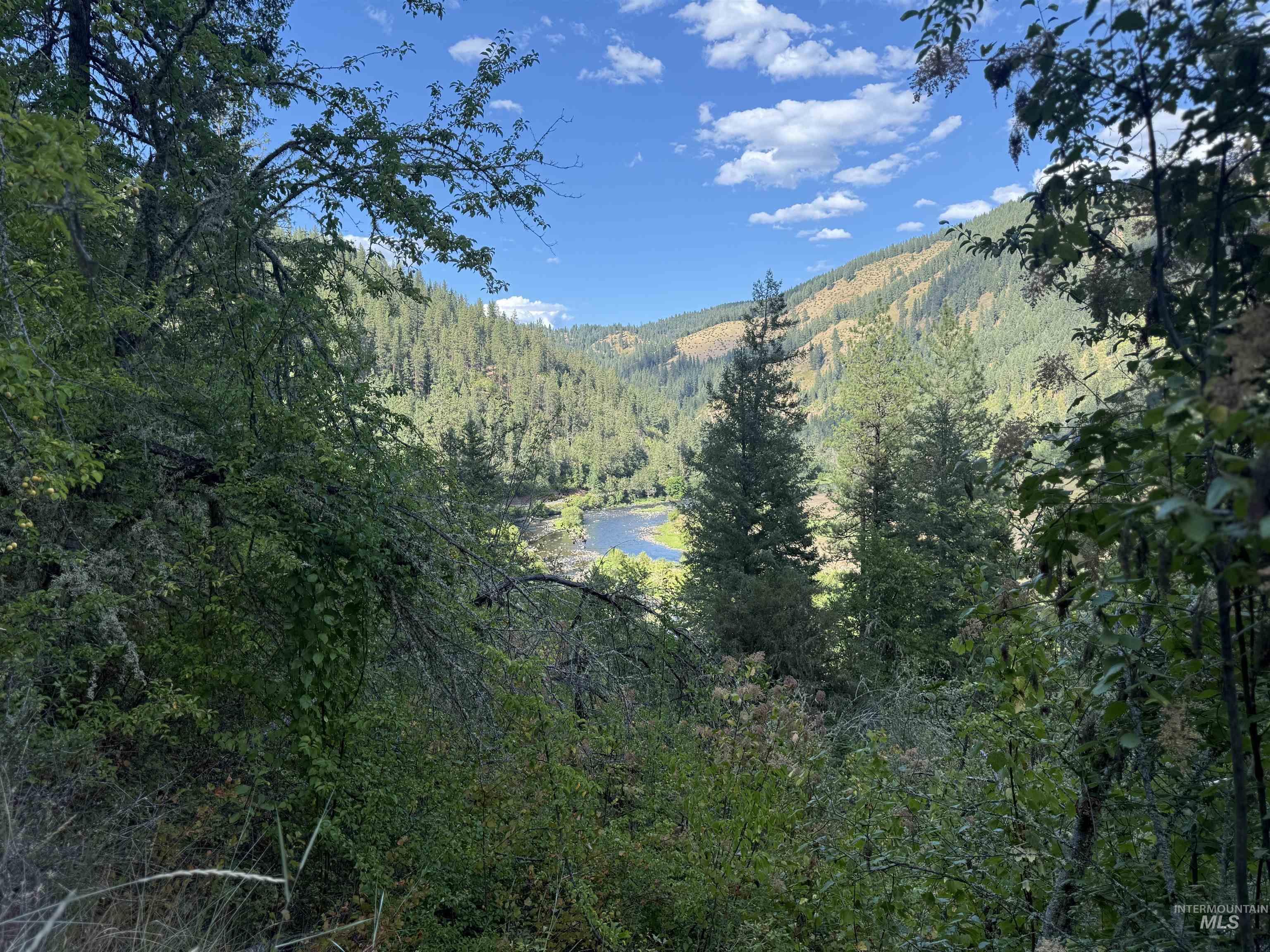 861 Highway 14, Grangeville, Idaho 83530, Land For Sale, Price $229,000,MLS 98972343