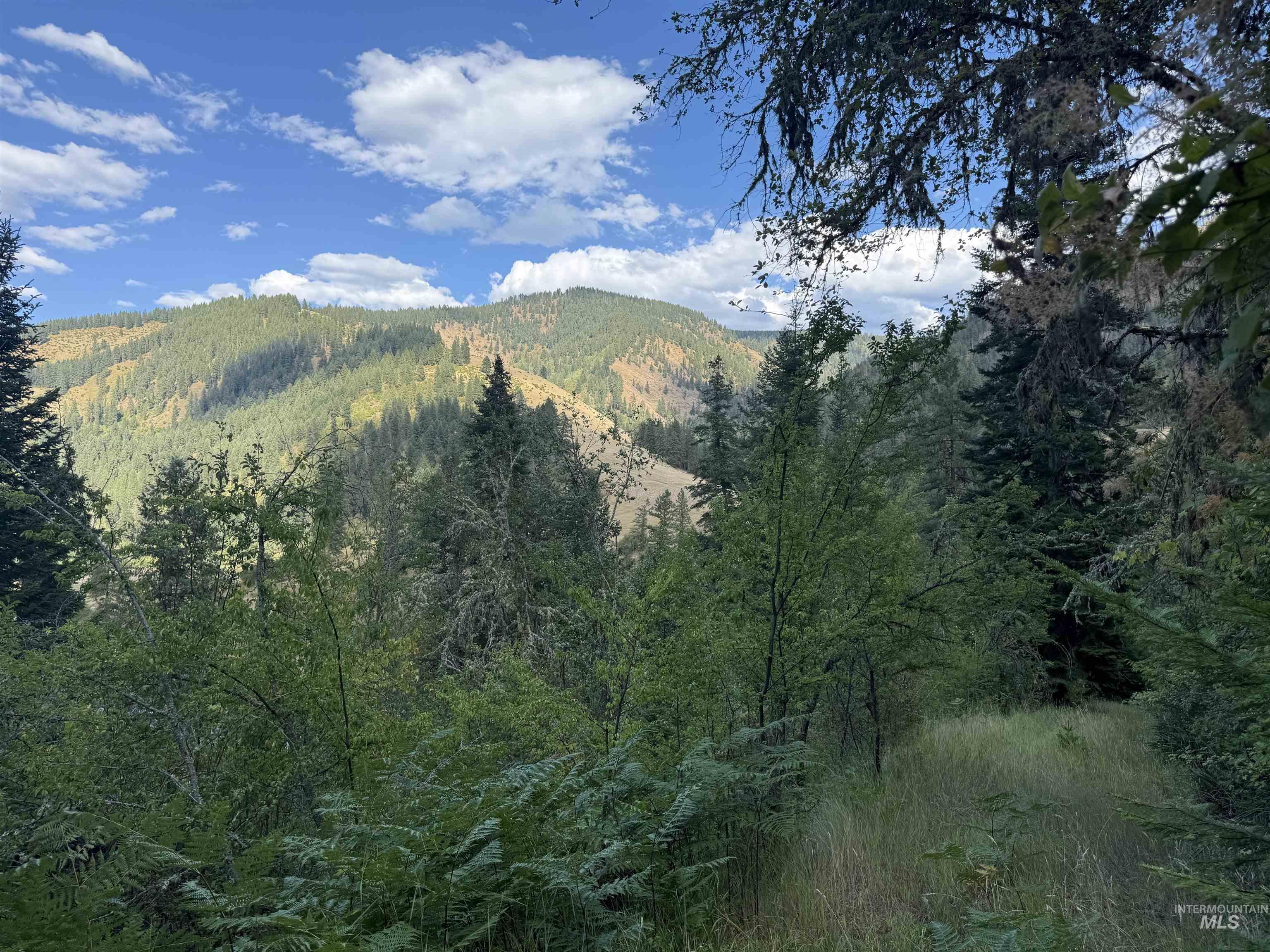 861 Highway 14, Grangeville, Idaho 83530, Land For Sale, Price $229,000,MLS 98972343