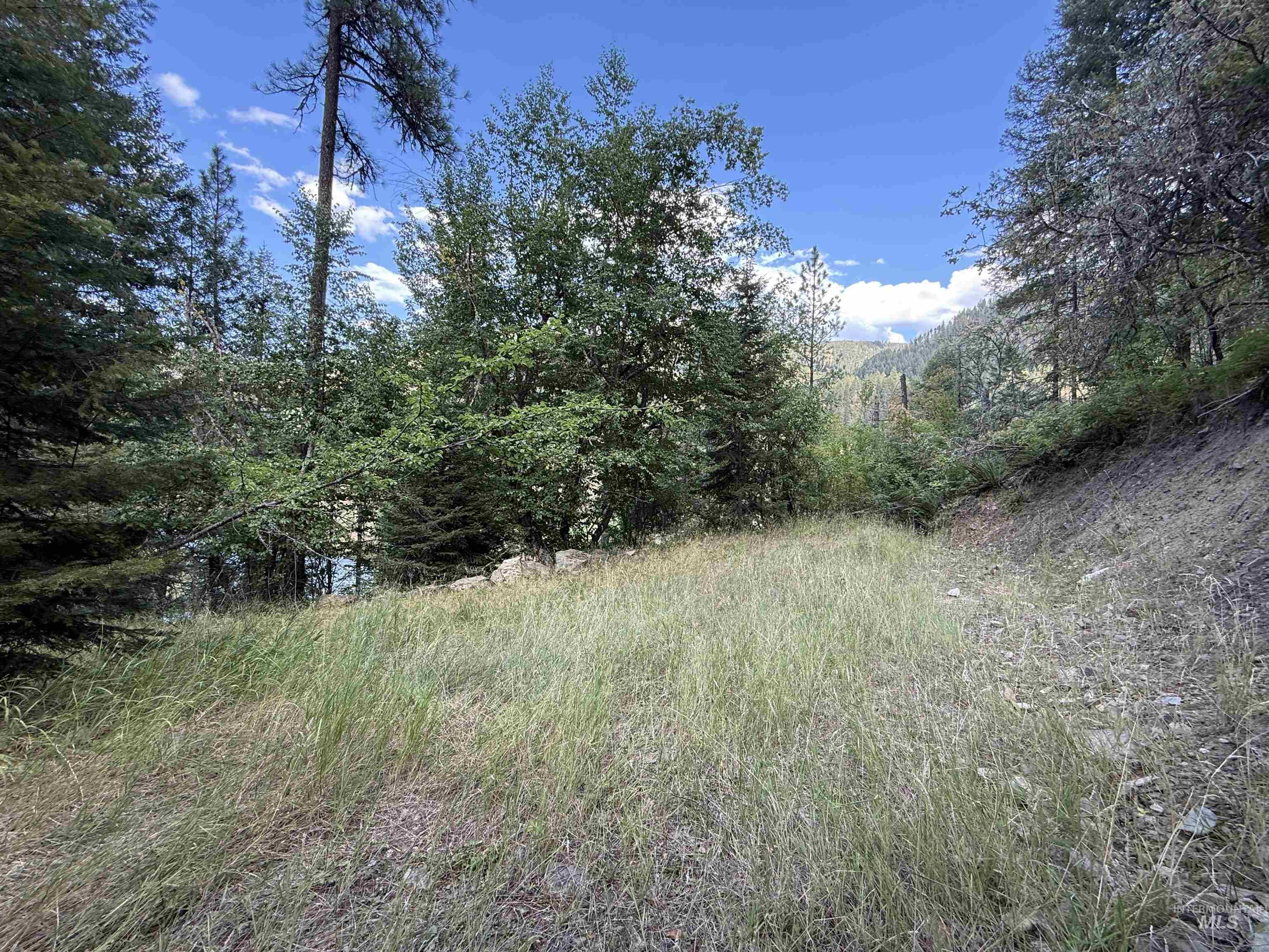 861 Highway 14, Grangeville, Idaho 83530, Land For Sale, Price $229,000,MLS 98972343