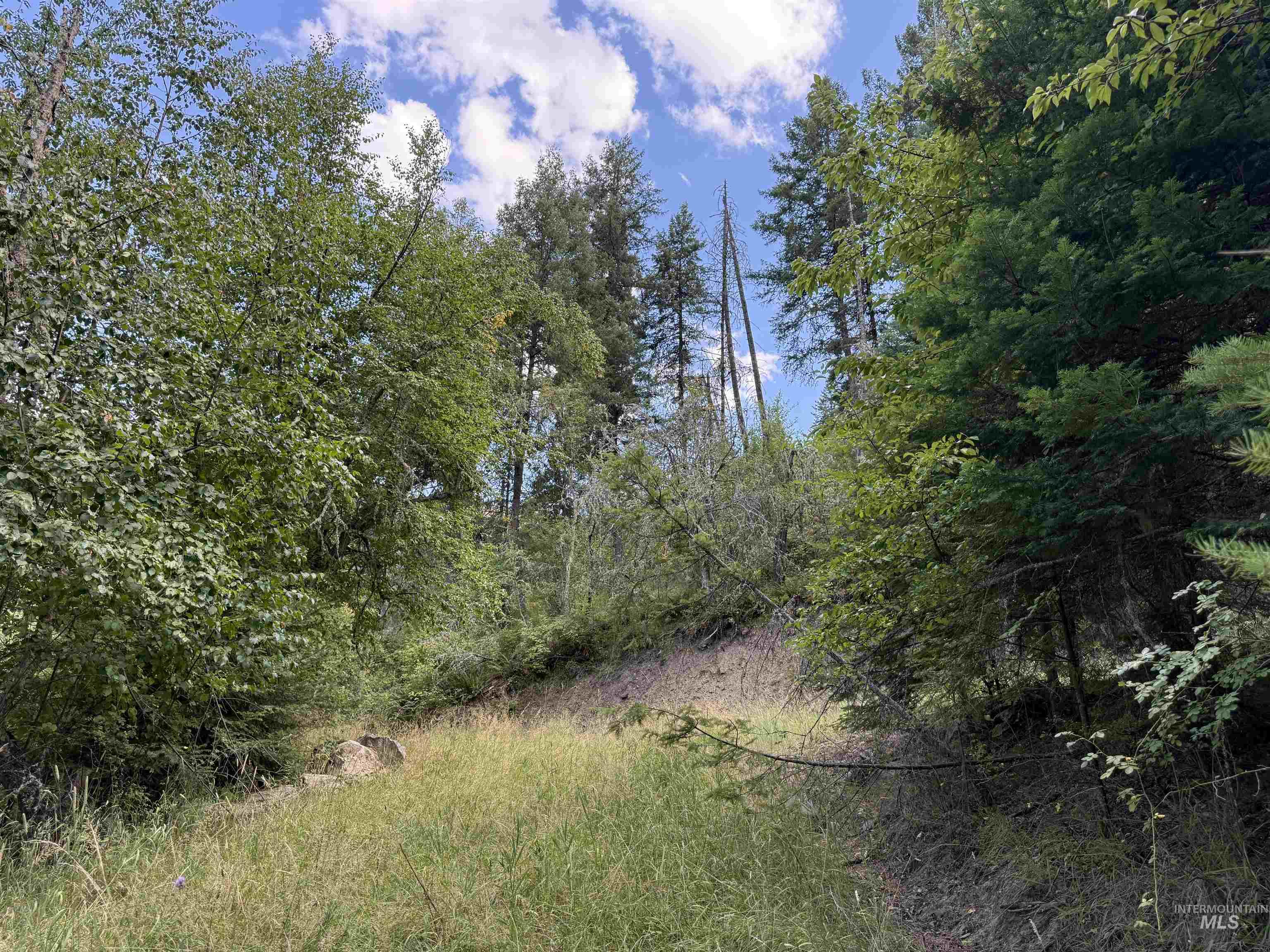 861 Highway 14, Grangeville, Idaho 83530, Land For Sale, Price $229,000,MLS 98972343