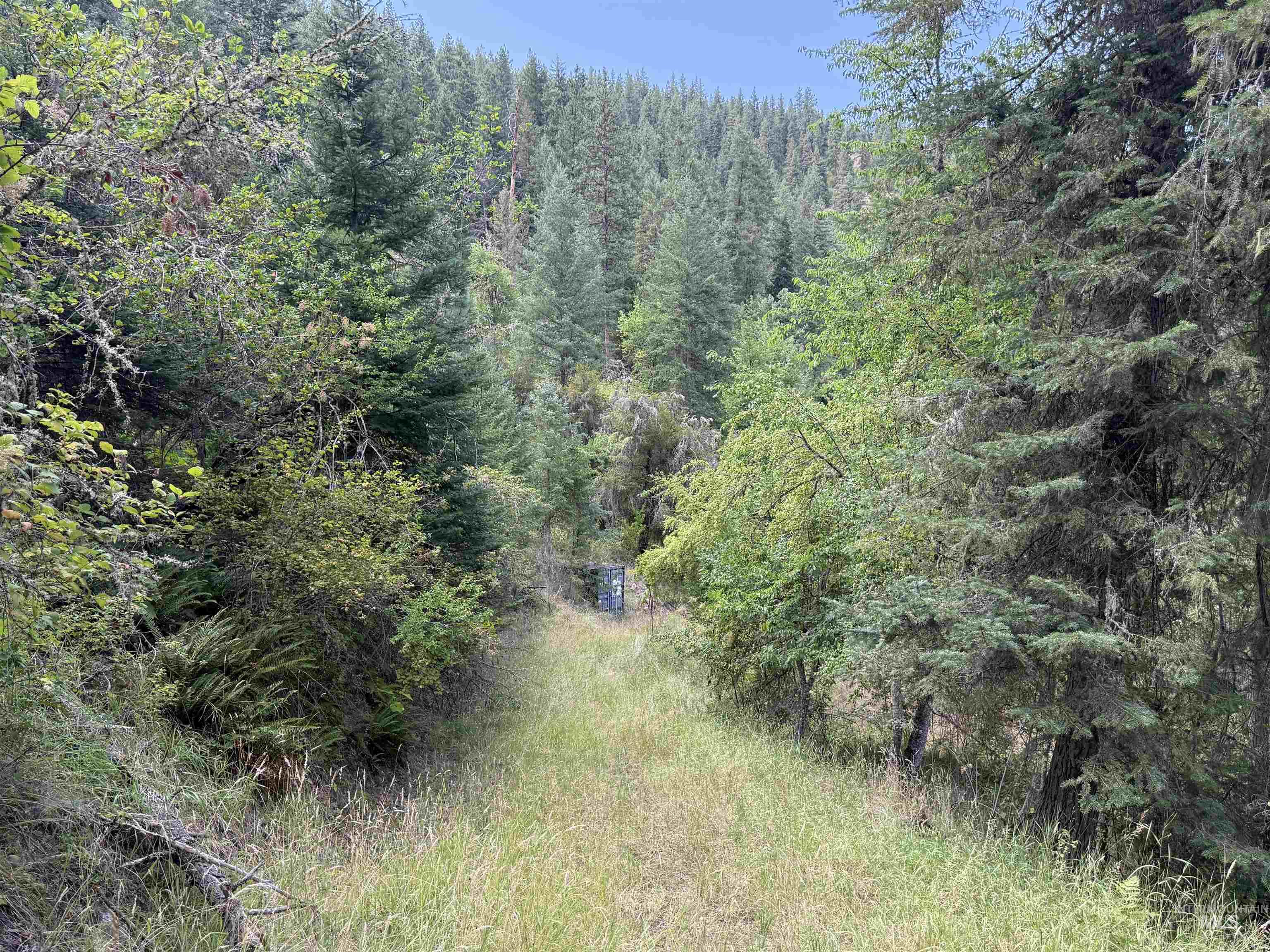 861 Highway 14, Grangeville, Idaho 83530, Land For Sale, Price $229,000,MLS 98972343