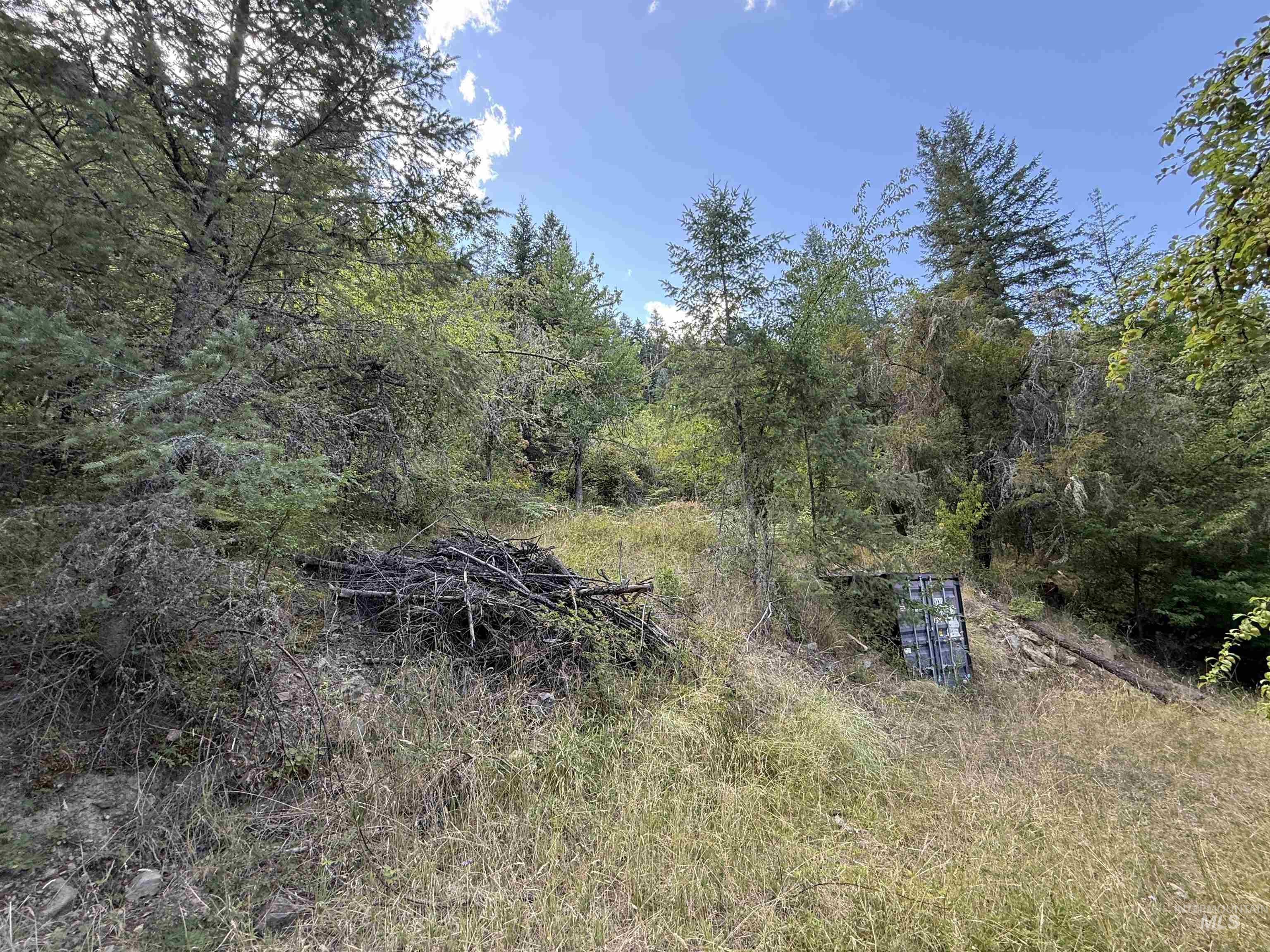 861 Highway 14, Grangeville, Idaho 83530, Land For Sale, Price $229,000,MLS 98972343