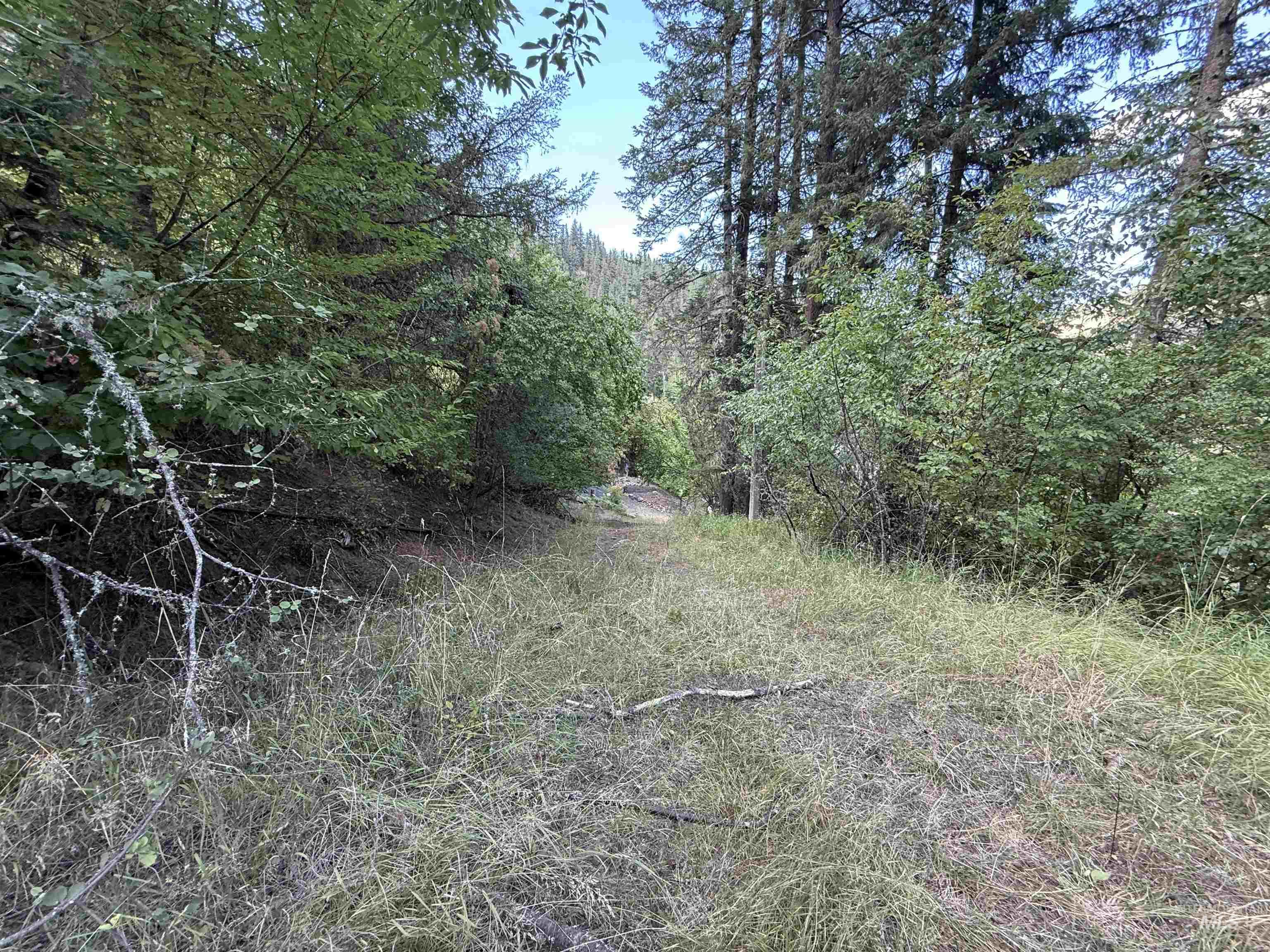 861 Highway 14, Grangeville, Idaho 83530, Land For Sale, Price $229,000,MLS 98972343