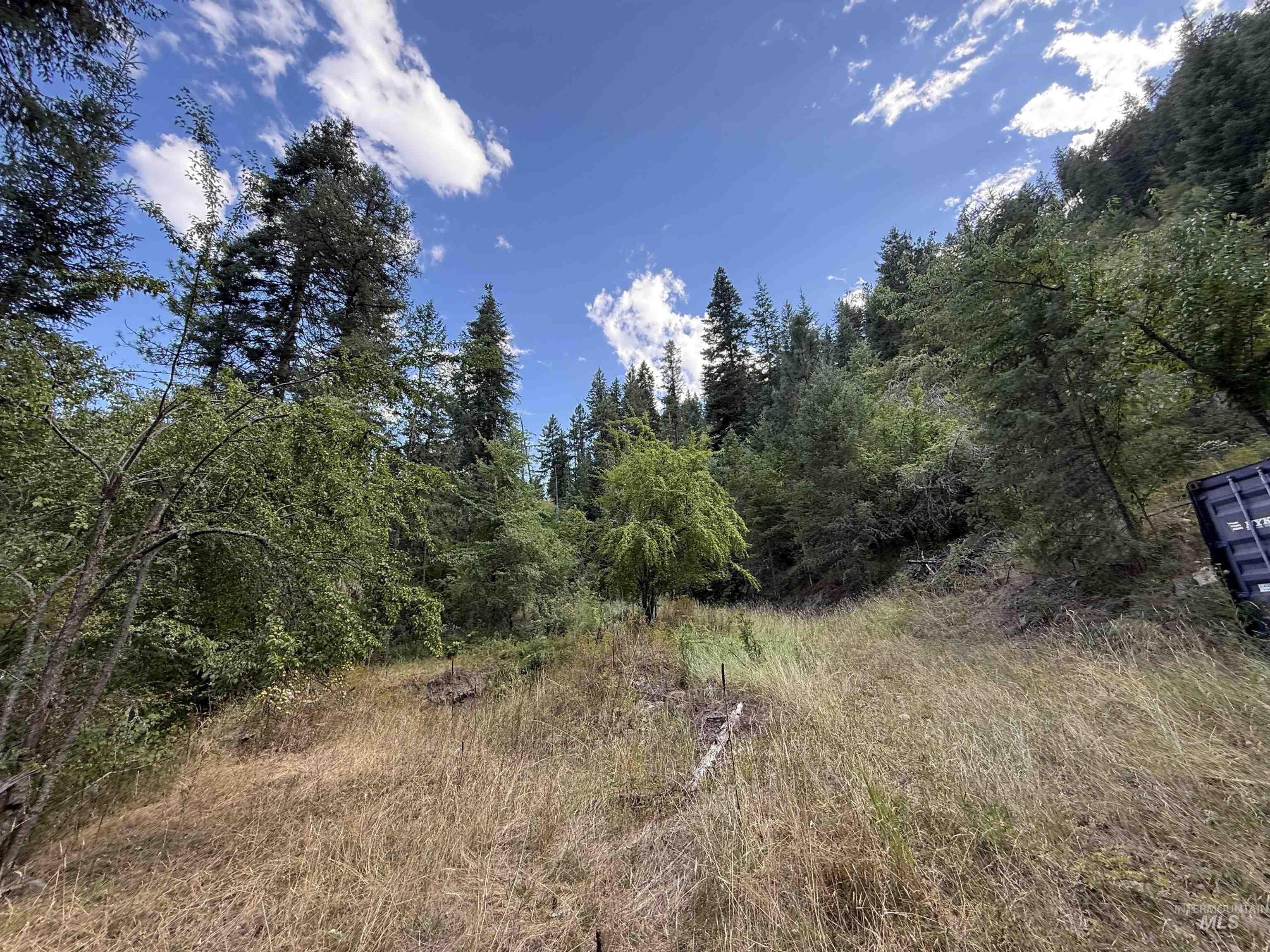 861 Highway 14, Grangeville, Idaho 83530, Land For Sale, Price $229,000,MLS 98972343