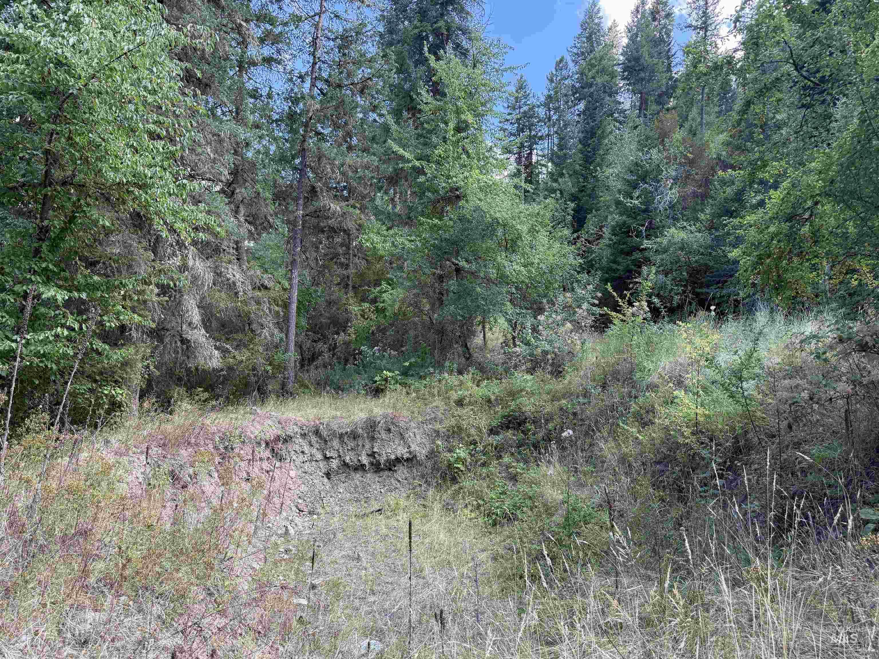 861 Highway 14, Grangeville, Idaho 83530, Land For Sale, Price $229,000,MLS 98972343