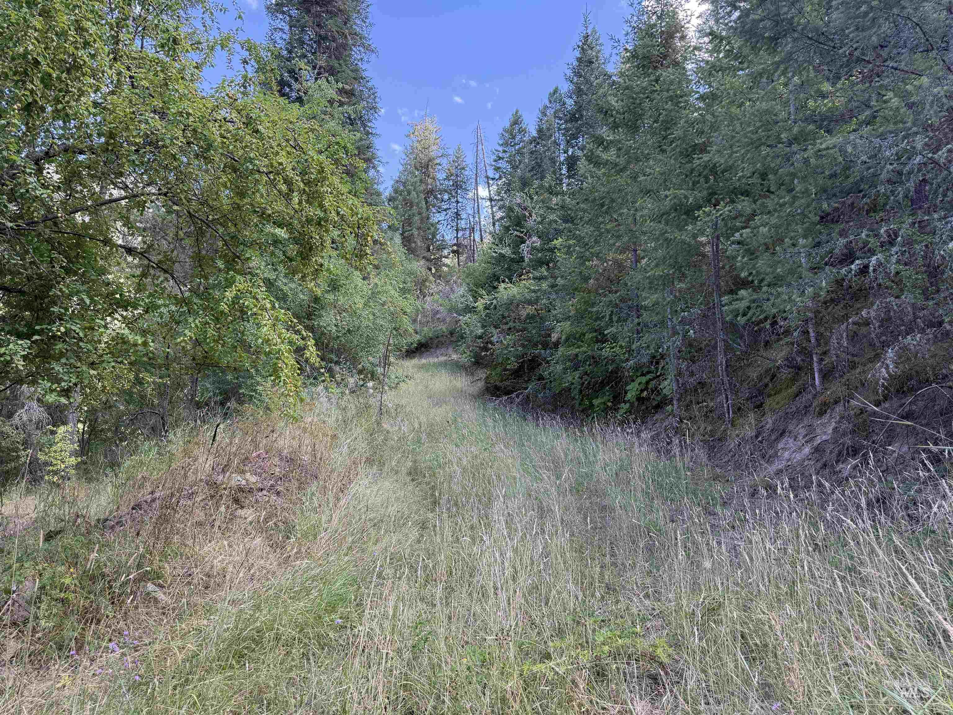 861 Highway 14, Grangeville, Idaho 83530, Land For Sale, Price $229,000,MLS 98972343