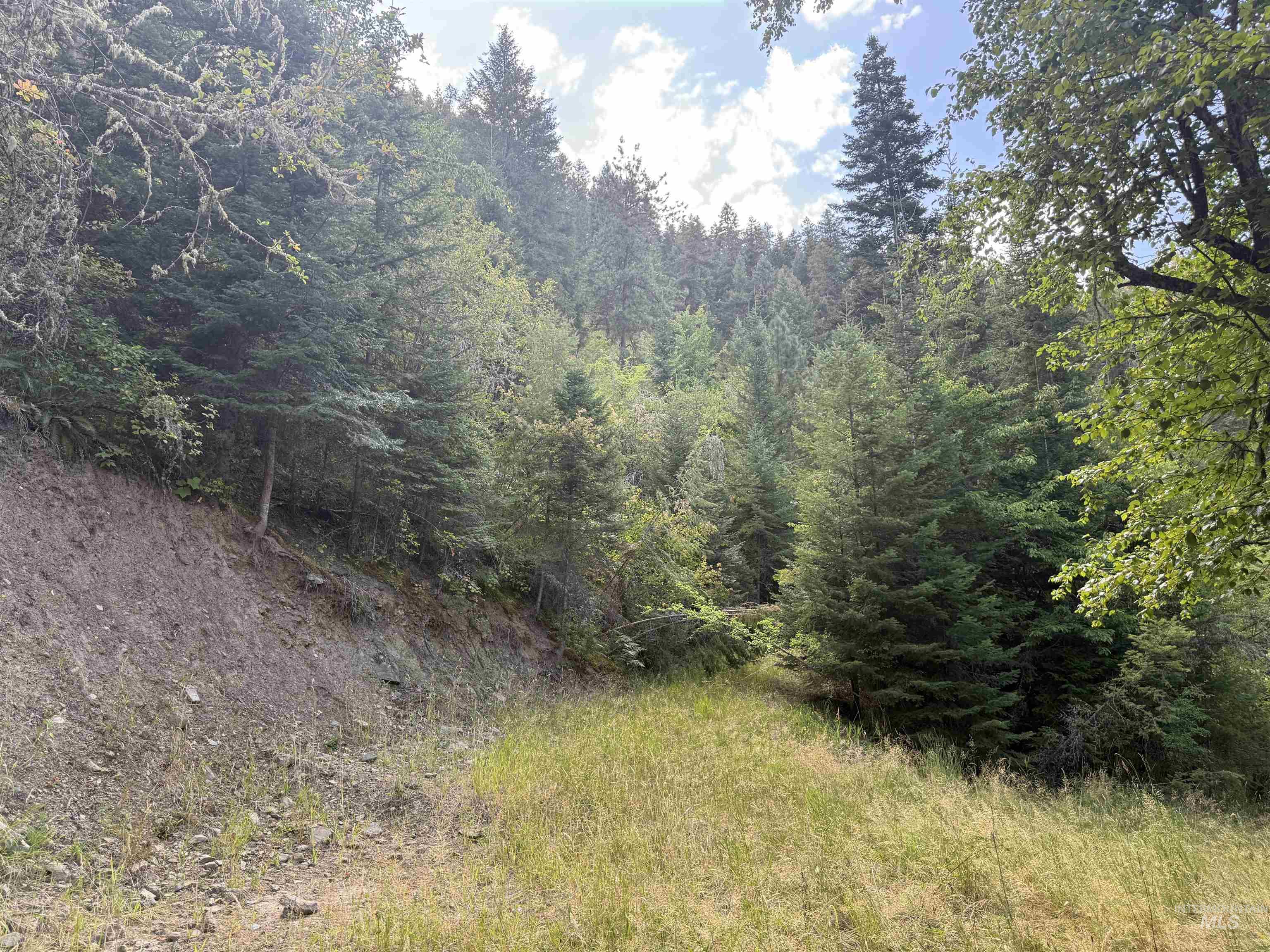 861 Highway 14, Grangeville, Idaho 83530, Land For Sale, Price $229,000,MLS 98972343