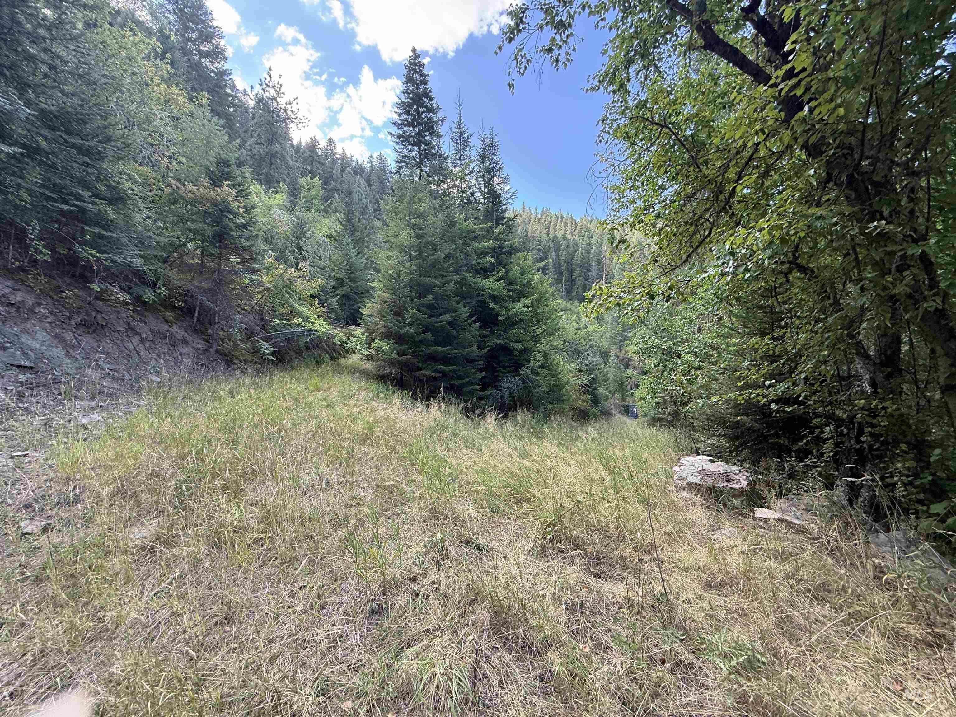 861 Highway 14, Grangeville, Idaho 83530, Land For Sale, Price $229,000,MLS 98972343