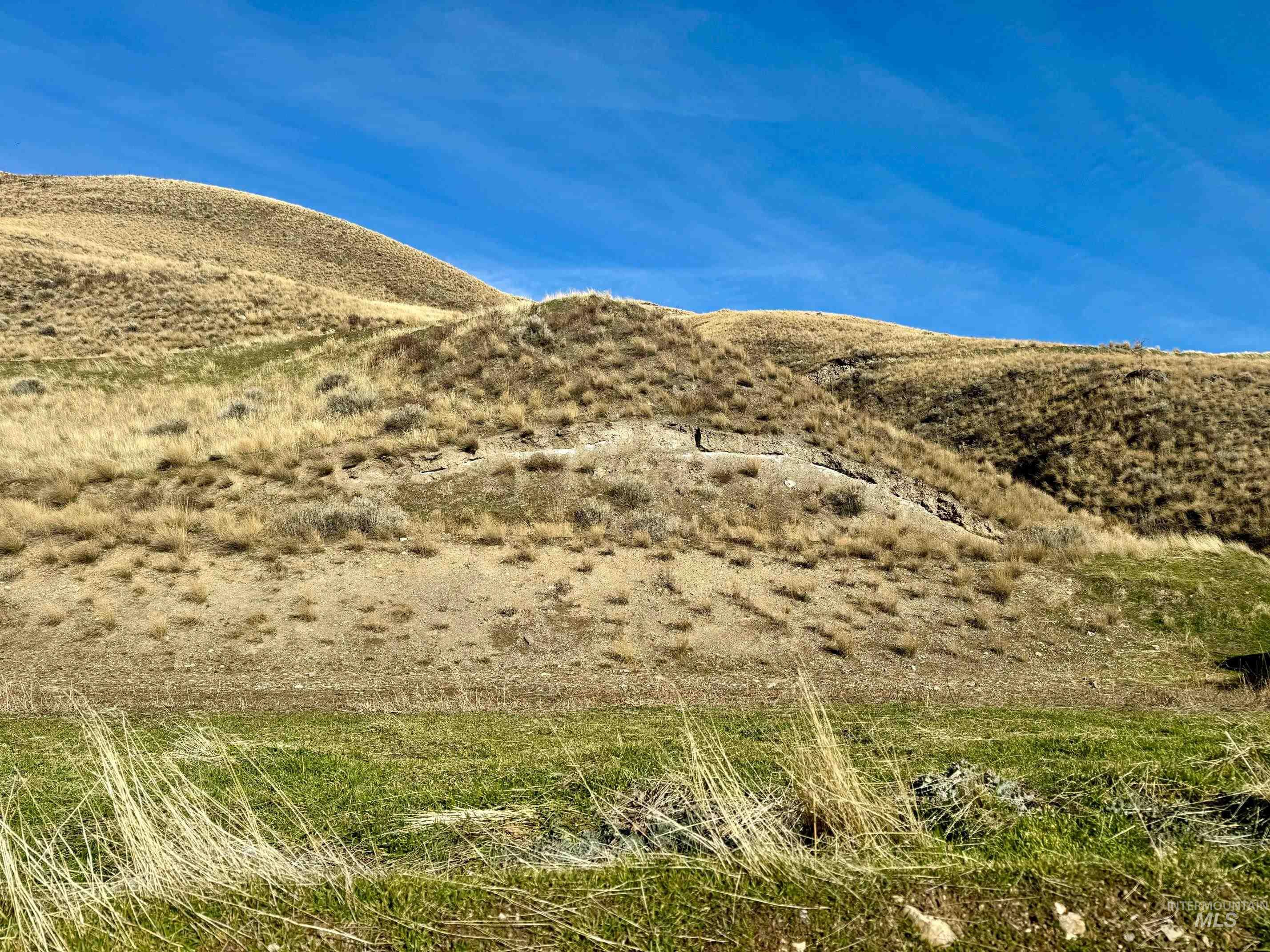TBD E Shingle Creek Road, Riggins, Idaho 83549, Land For Sale, Price $175,000,MLS 98972378