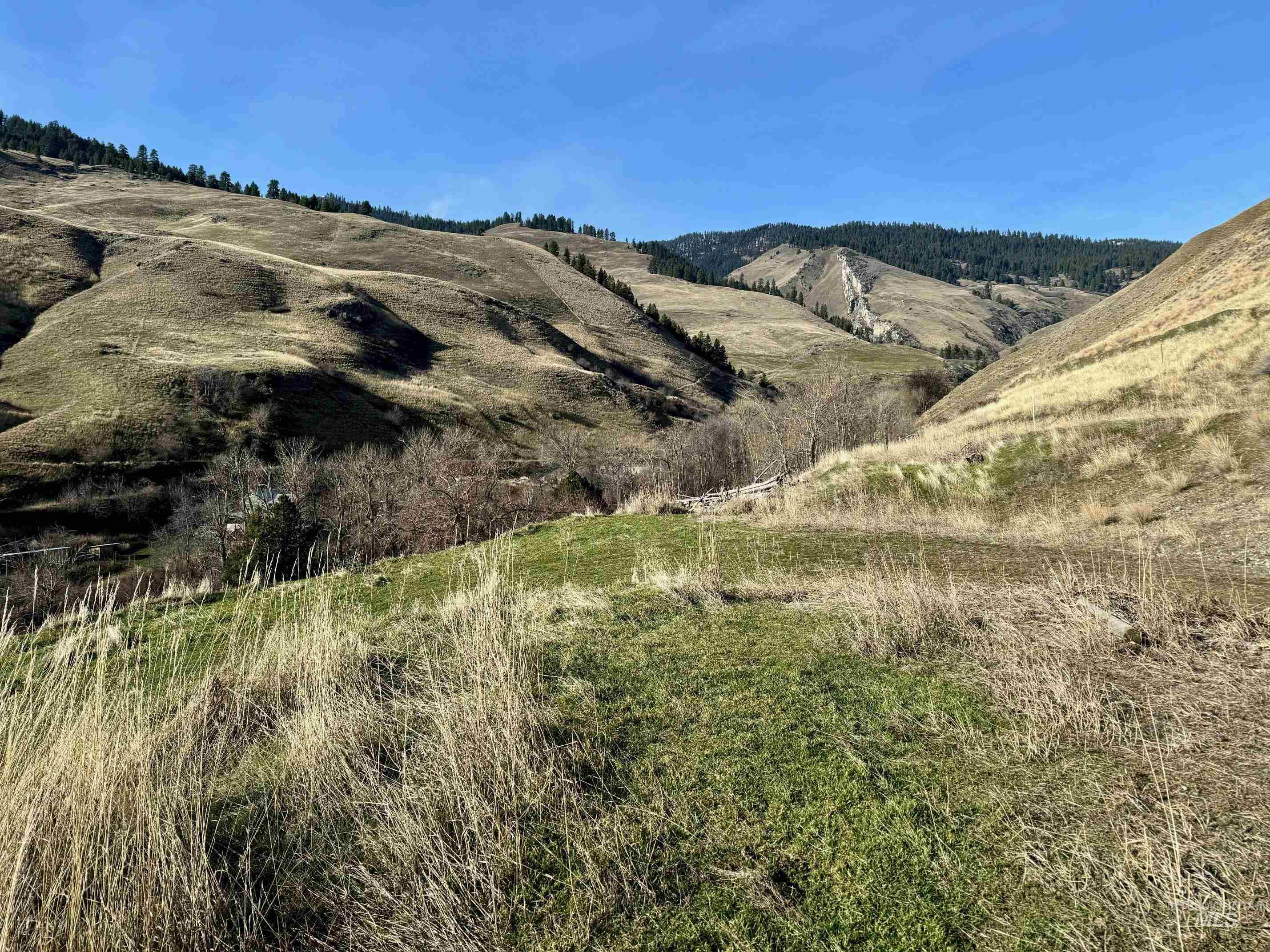 TBD E Shingle Creek Road, Riggins, Idaho 83549, Land For Sale, Price $175,000, 98972378