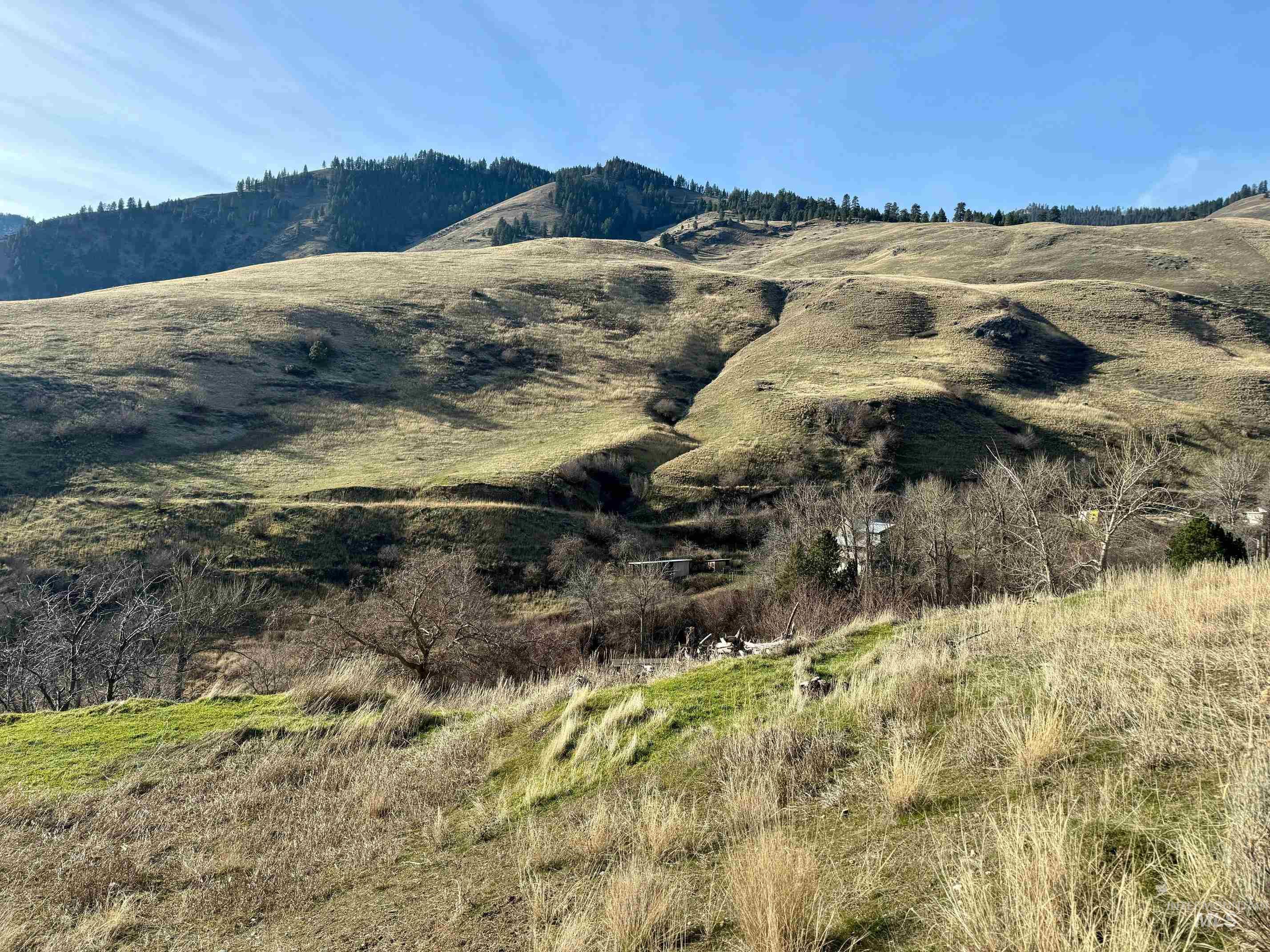 TBD E Shingle Creek Road, Riggins, Idaho 83549, Land For Sale, Price $175,000, 98972378