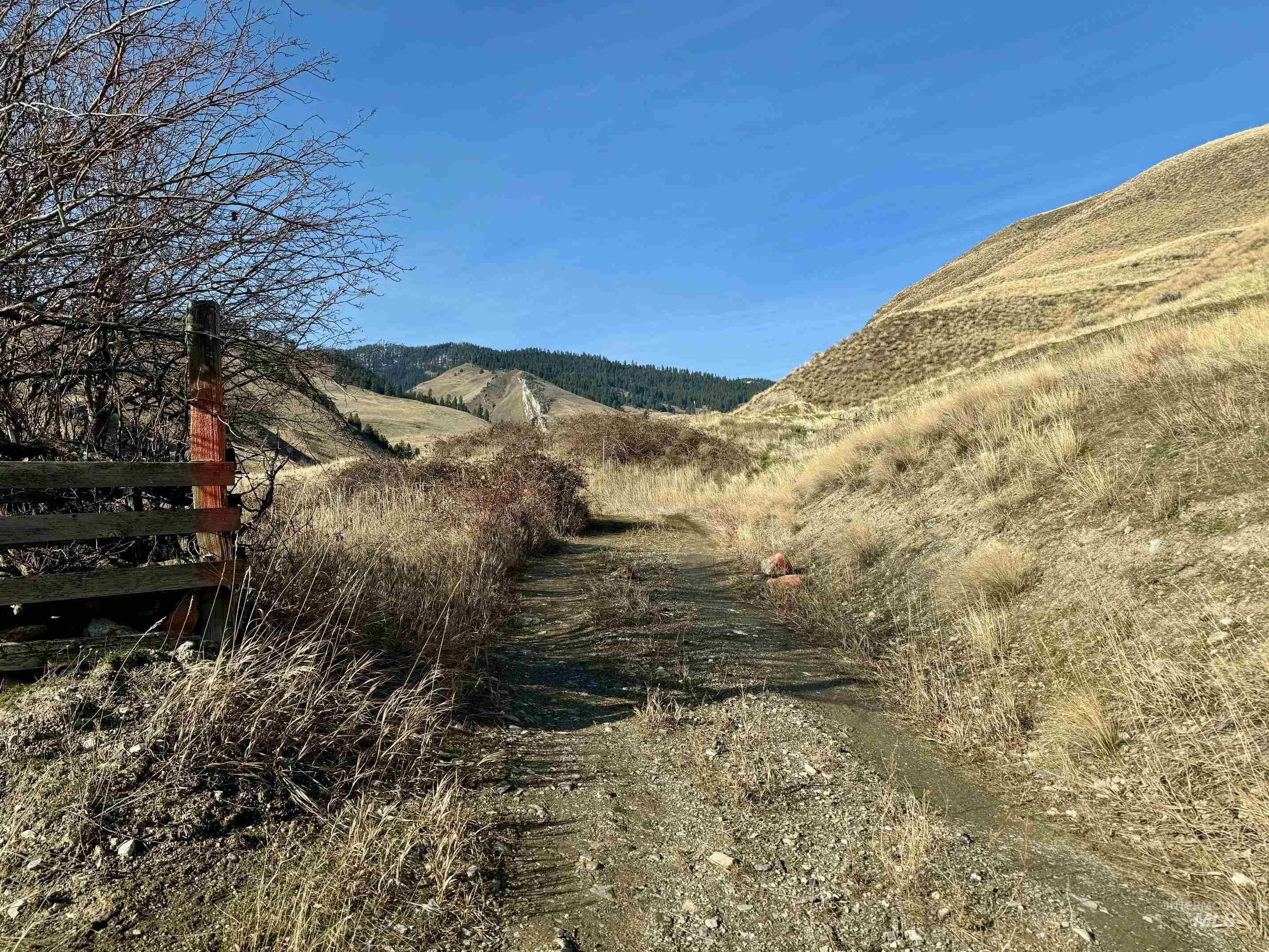 TBD E Shingle Creek Road, Riggins, Idaho 83549, Land For Sale, Price $175,000,MLS 98972378
