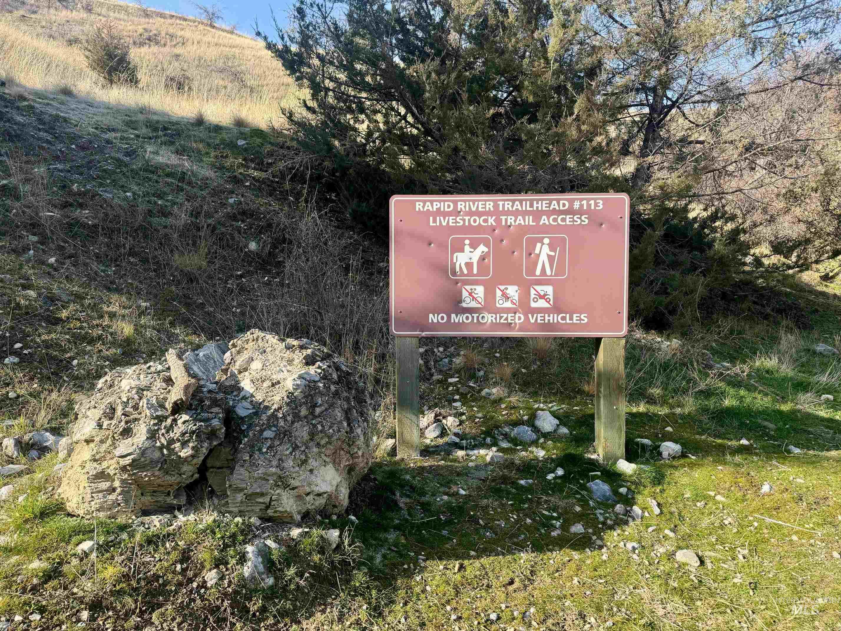 TBD E Shingle Creek Road, Riggins, Idaho 83549, Land For Sale, Price $175,000, 98972378