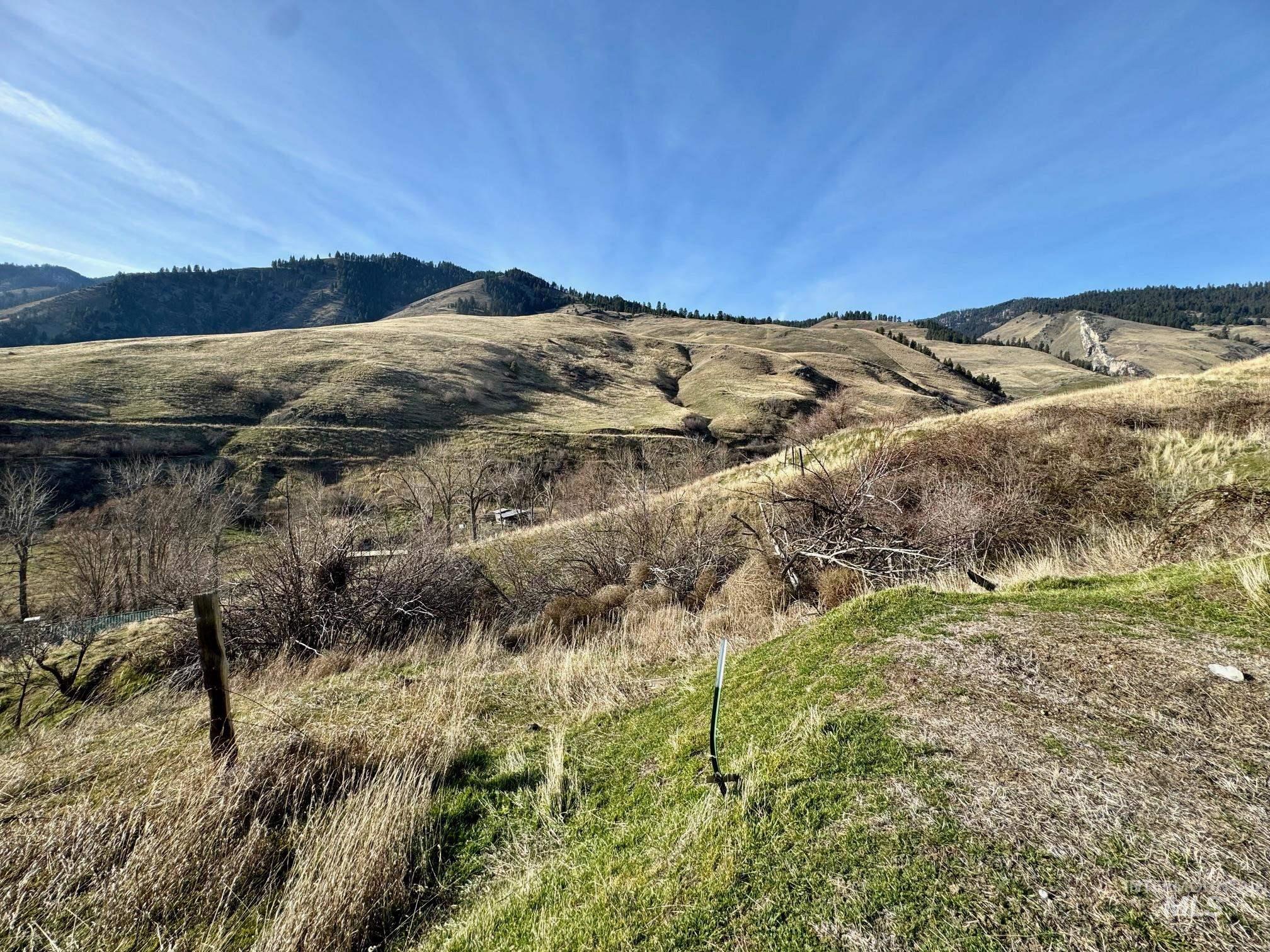 TBD E Shingle Creek Road, Riggins, Idaho 83549, Land For Sale, Price $175,000,MLS 98972378