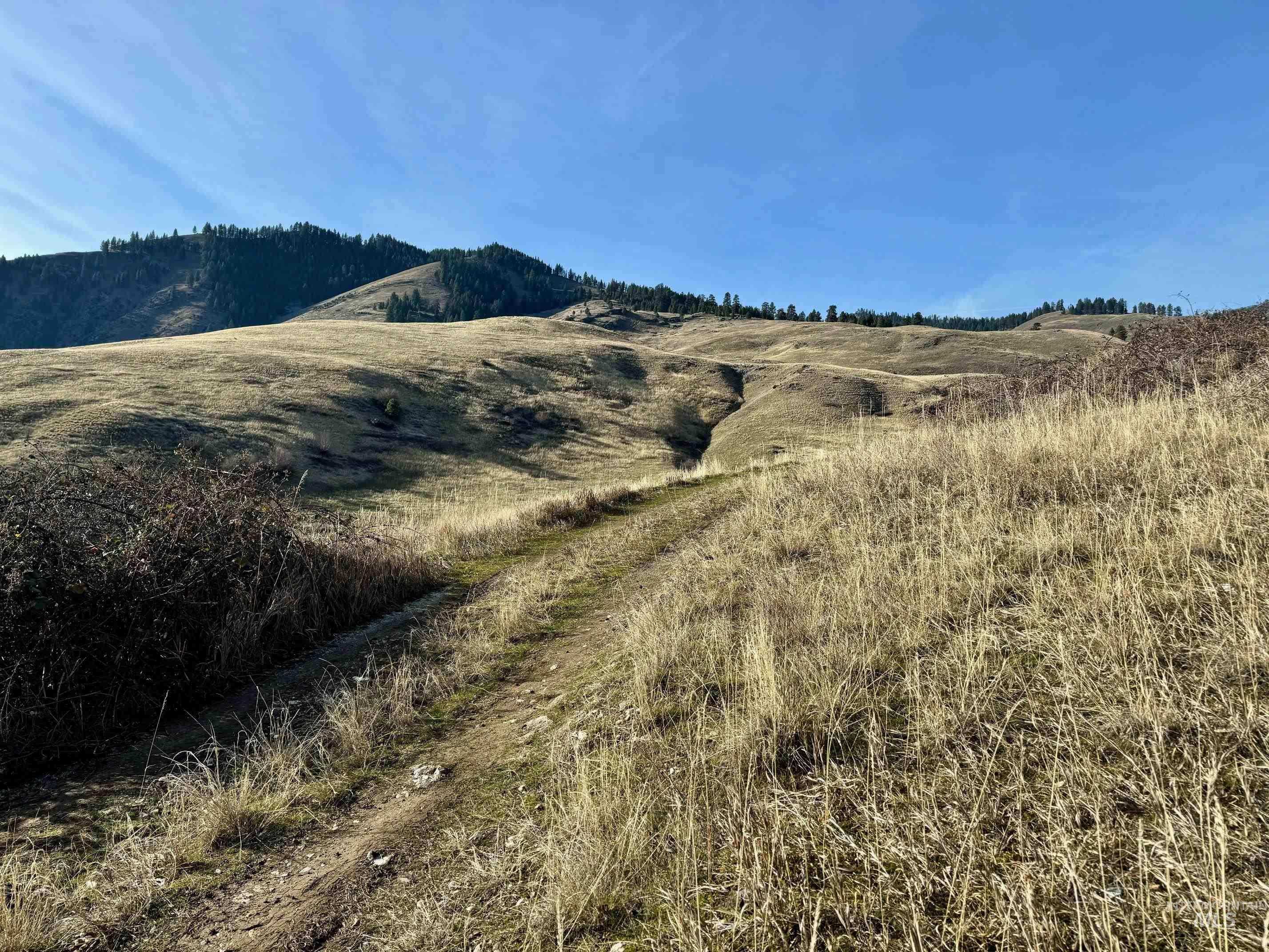 TBD E Shingle Creek Road, Riggins, Idaho 83549, Land For Sale, Price $175,000,MLS 98972378