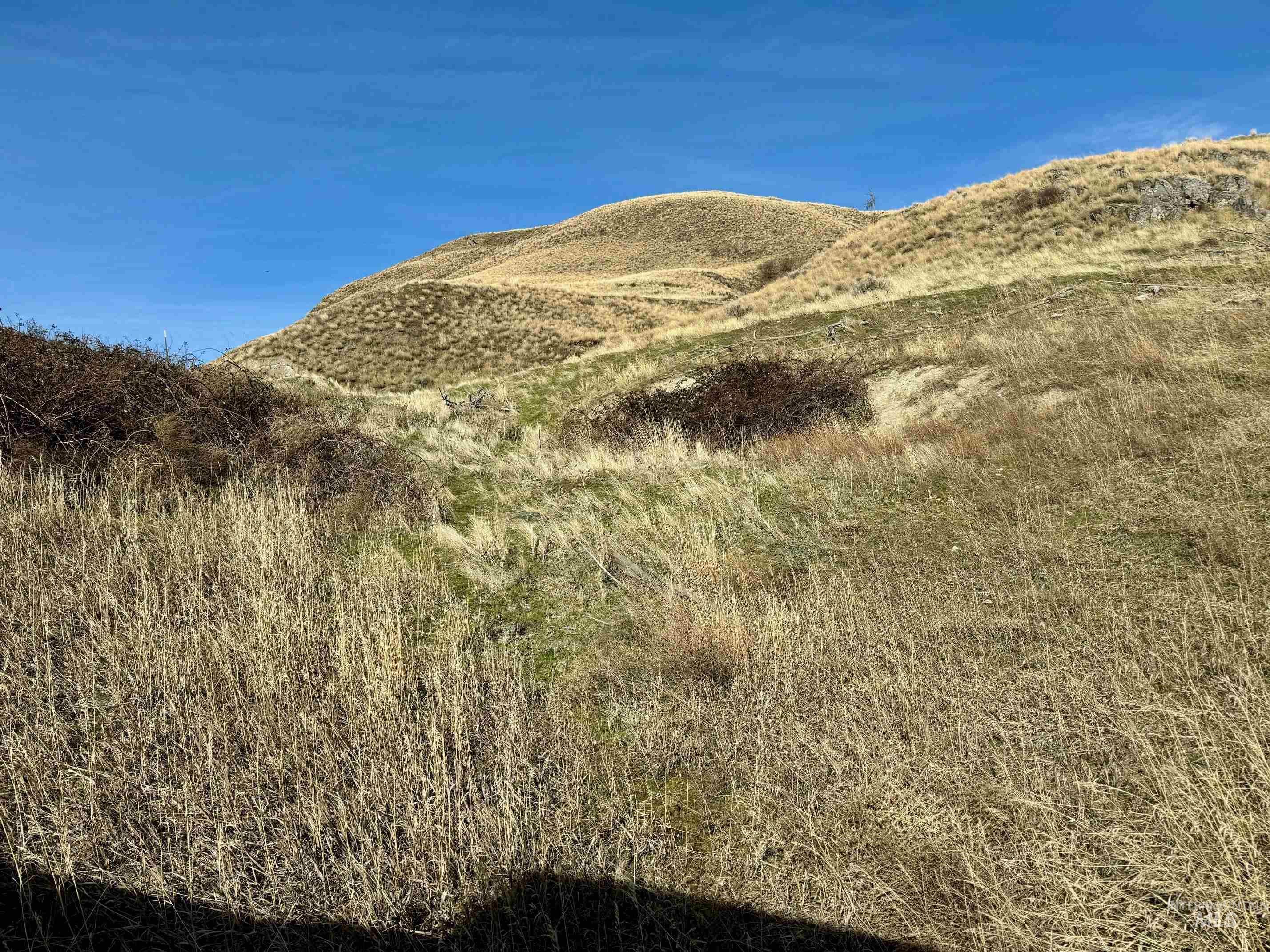 TBD E Shingle Creek Road, Riggins, Idaho 83549, Land For Sale, Price $175,000,MLS 98972378