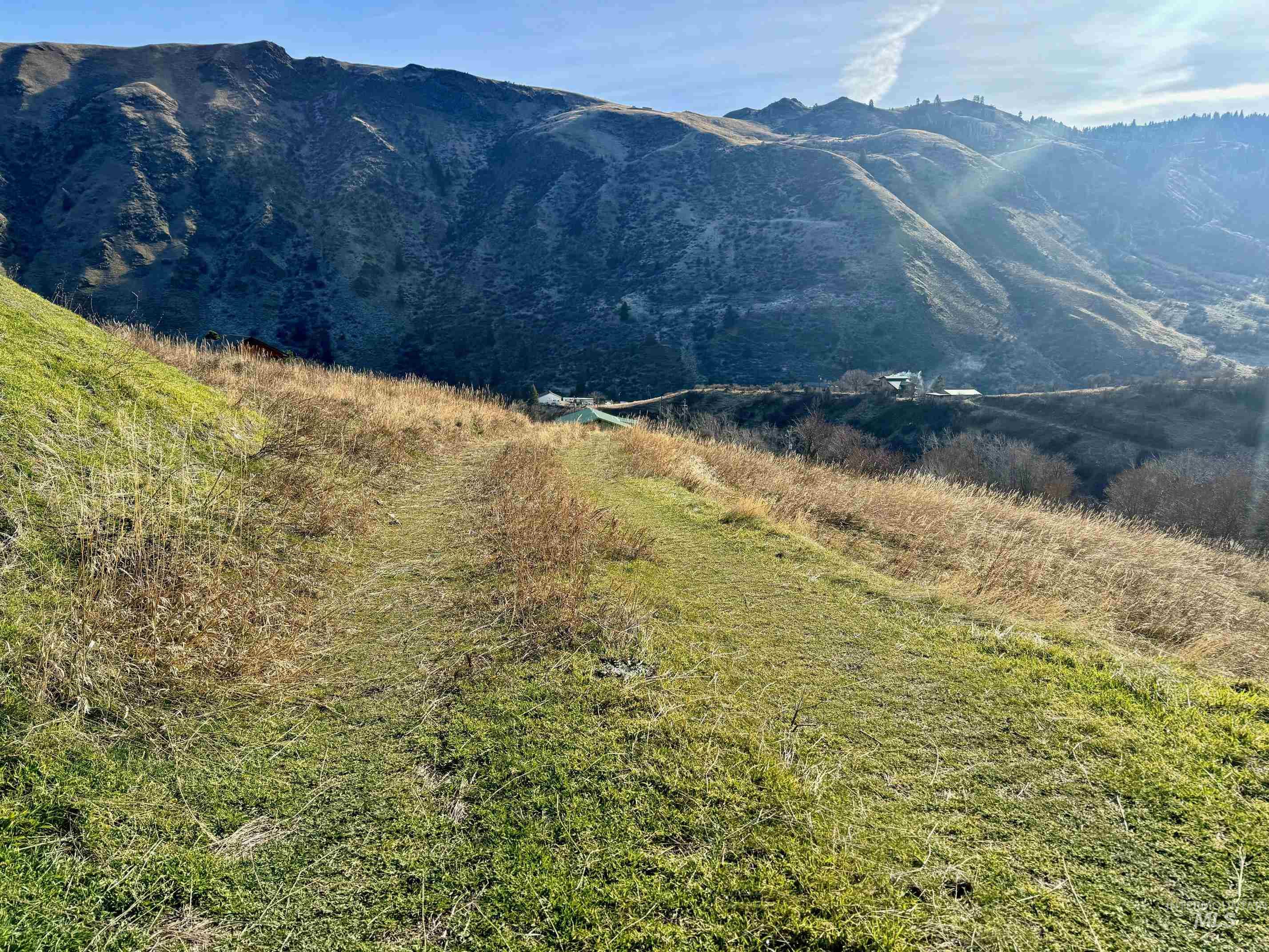 TBD E Shingle Creek Road, Riggins, Idaho 83549, Land For Sale, Price $175,000,MLS 98972378