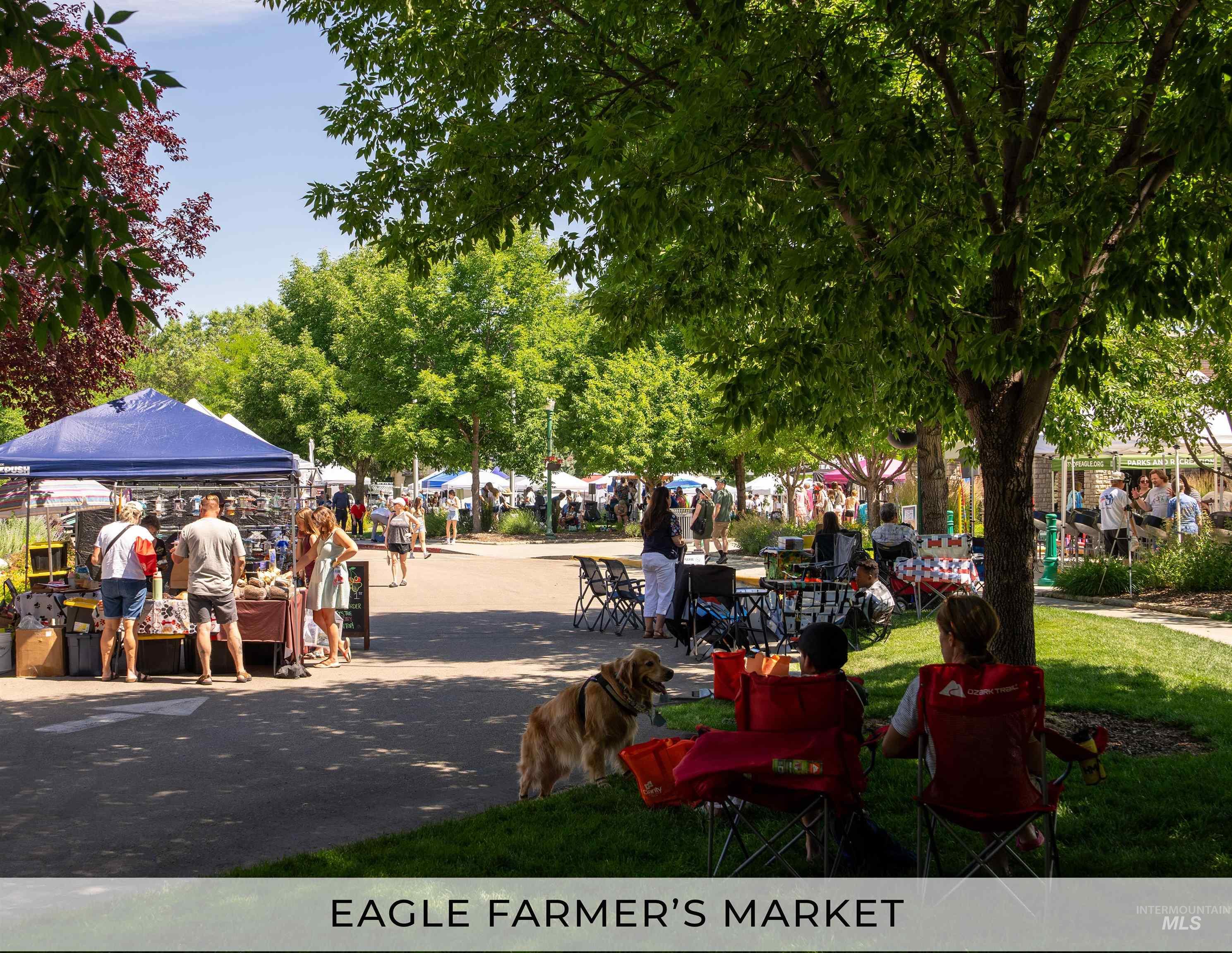 3437 W Tahoe View St, Eagle, Idaho 83616, 4 Bedrooms, 3.5 Bathrooms, Residential For Sale, Price $1,289,000, 98972392