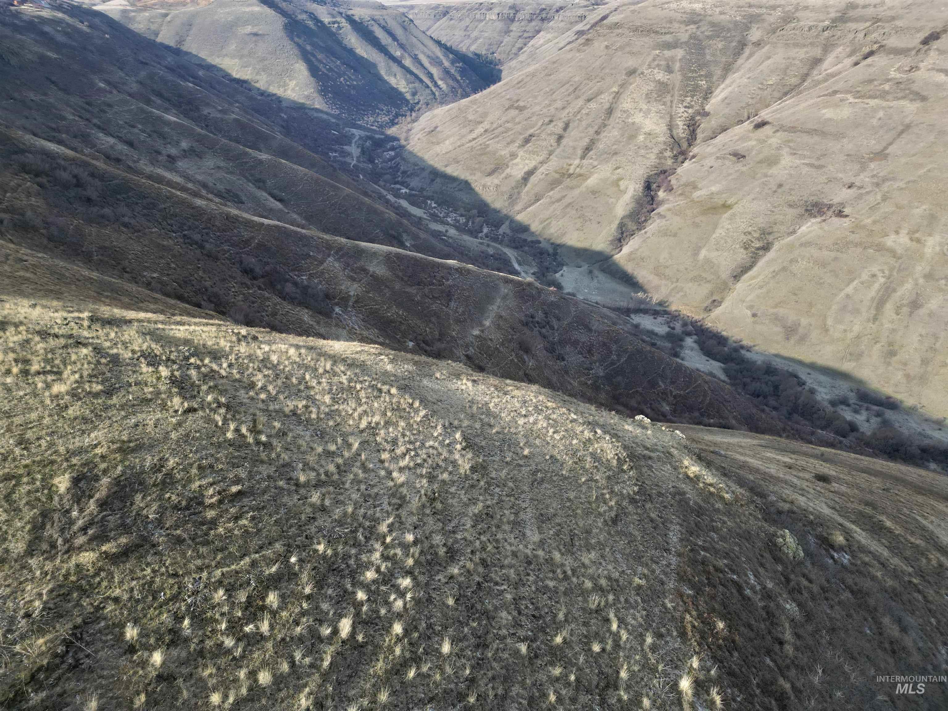 Spur Road-86 acres, Lewiston, Idaho 83501, Land For Sale, Price $775,000,MLS 98972423