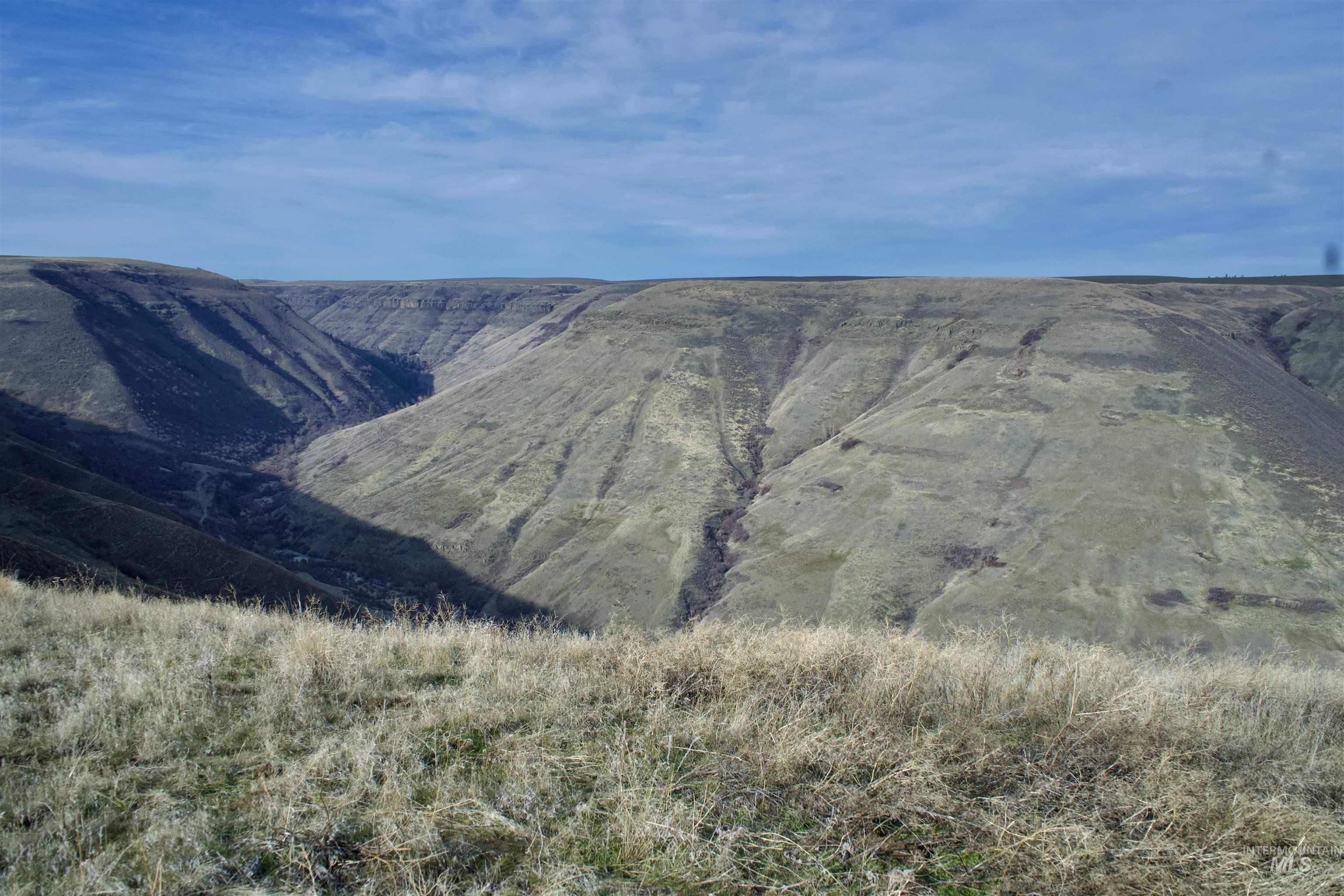 Spur Road-86 acres, Lewiston, Idaho 83501, Land For Sale, Price $775,000,MLS 98972423