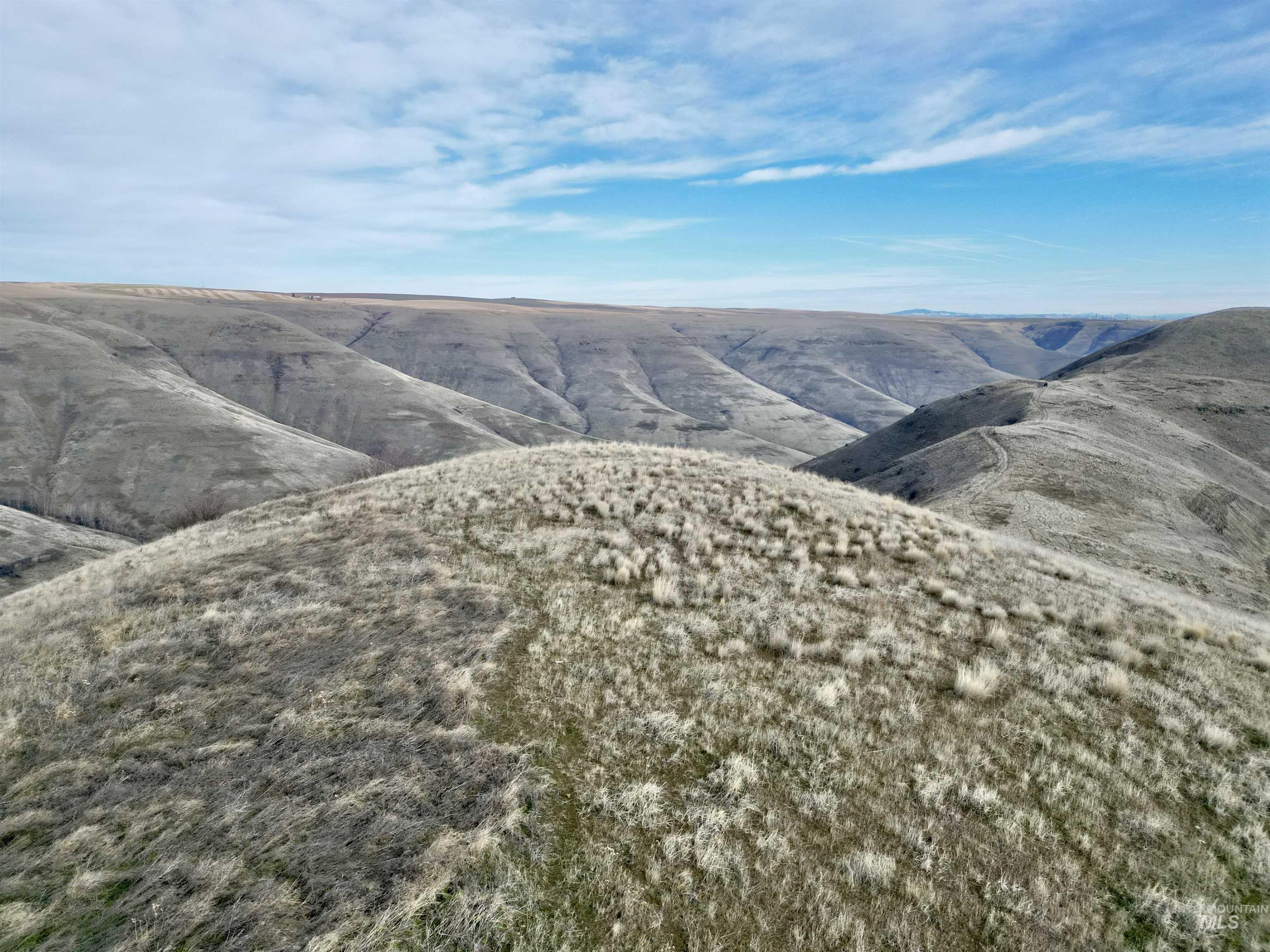 Spur Road-86 acres, Lewiston, Idaho 83501, Land For Sale, Price $775,000,MLS 98972423