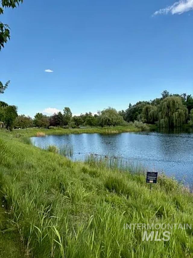 1217 E Lone Creek Dr, Eagle, Idaho 83616, 3 Bedrooms, 2.5 Bathrooms, Rental For Rent, Price $2,900,MLS 98972518