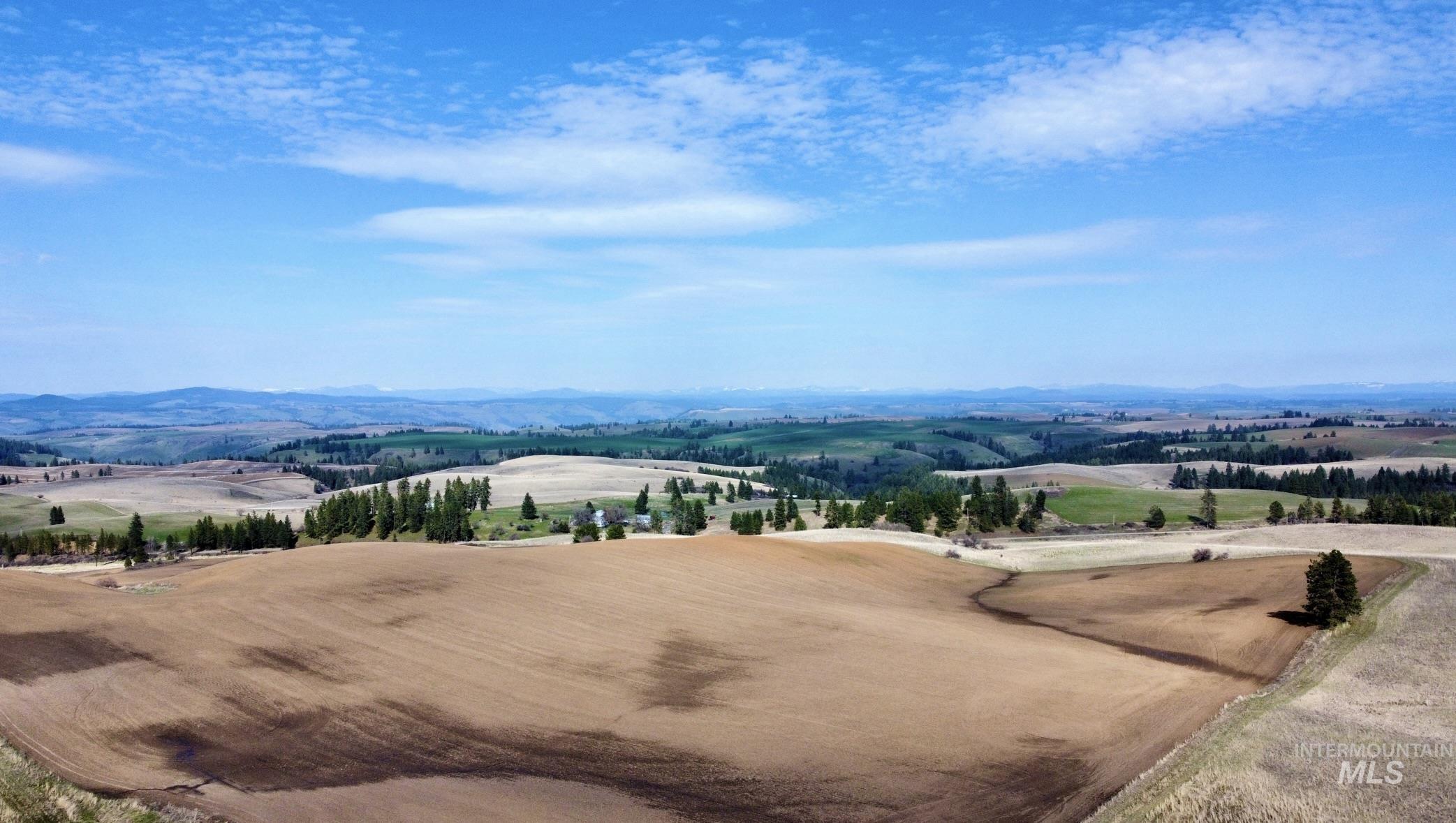 TBD Settlement Rd, Lenore, Idaho 83541, Land For Sale, Price $350,000,MLS 98972556