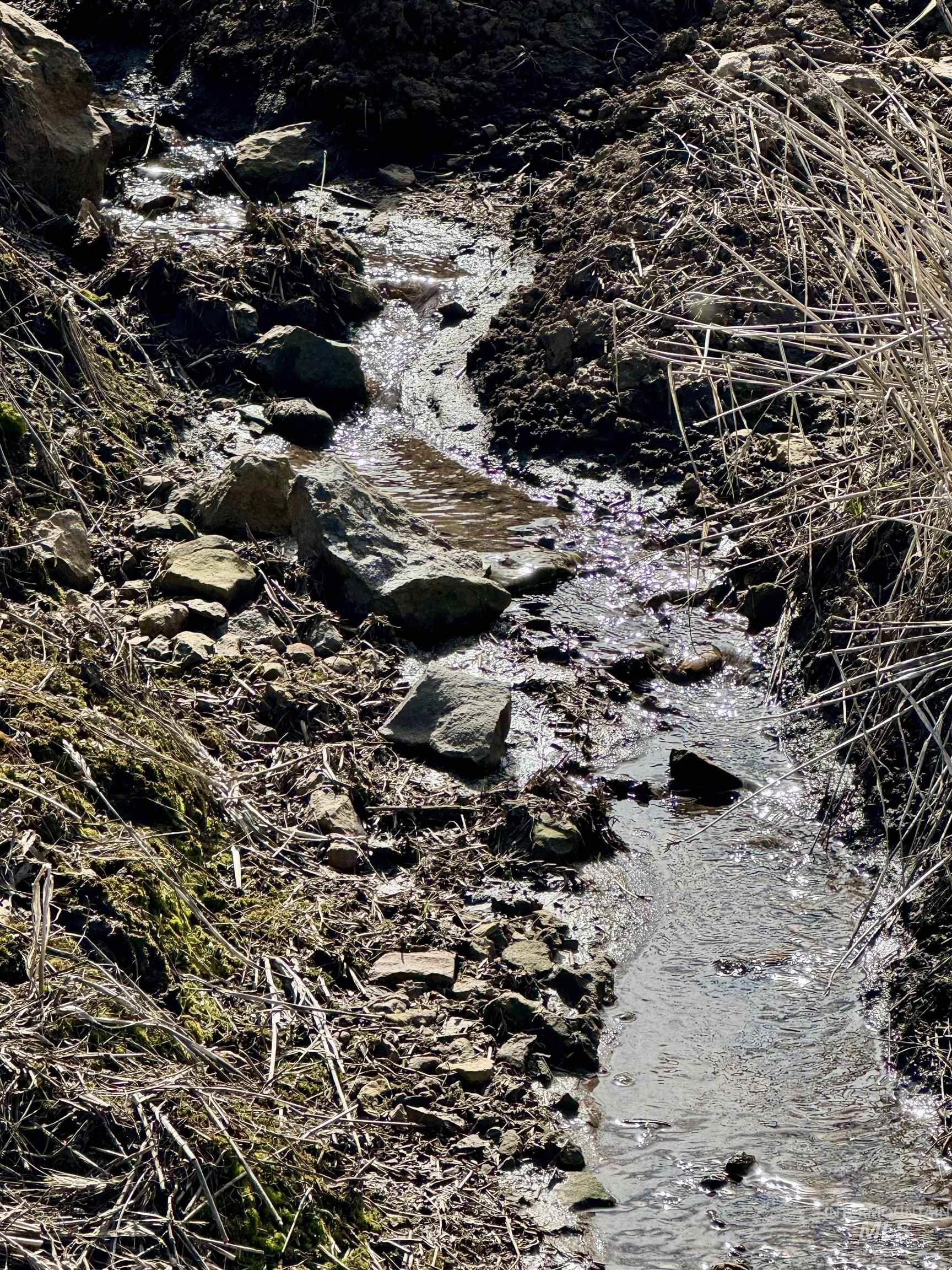 TBD Settlement Rd, Lenore, Idaho 83541, Land For Sale, Price $350,000,MLS 98972556