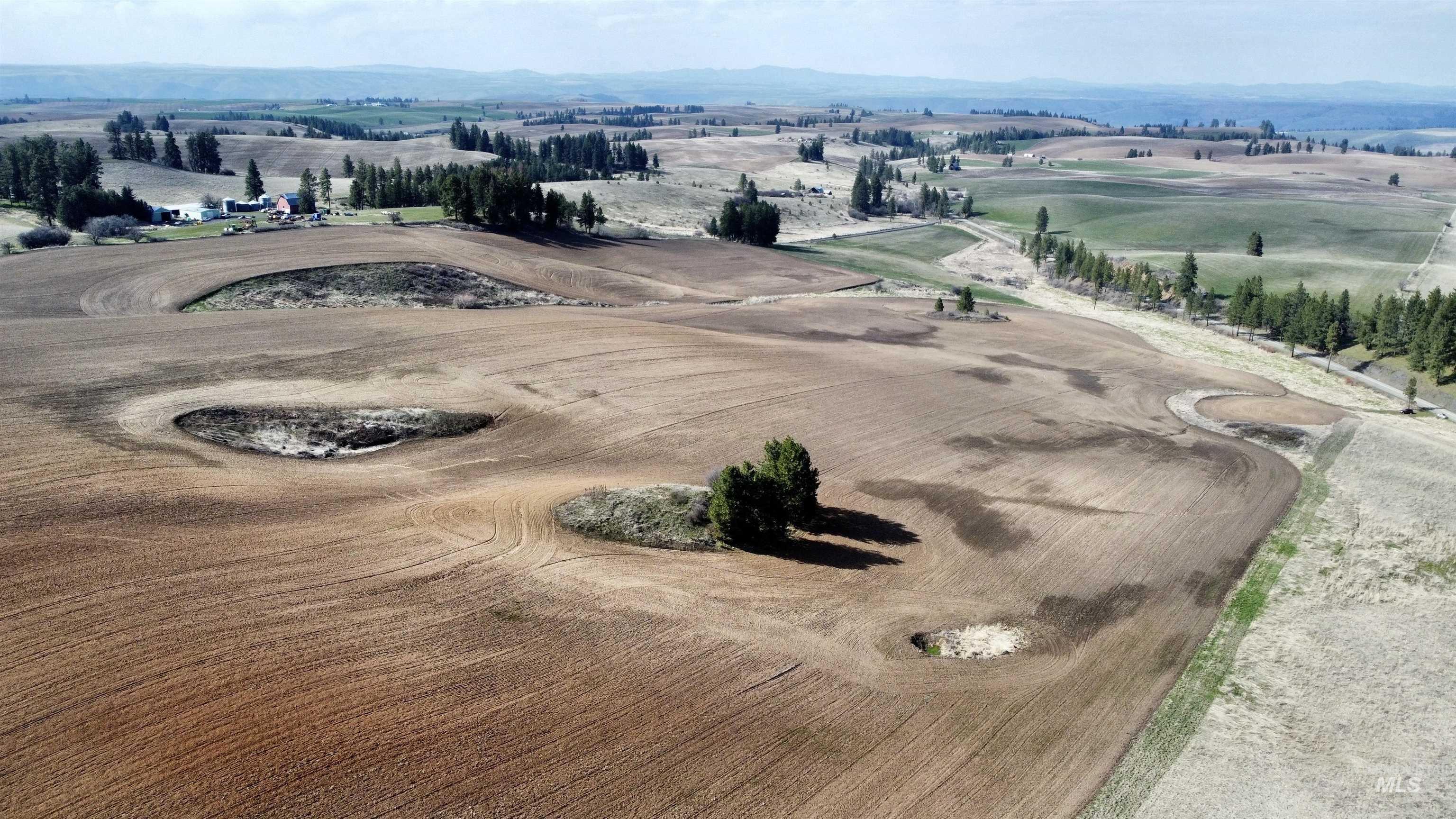 TBD Settlement Rd, Lenore, Idaho 83541, Land For Sale, Price $350,000,MLS 98972556