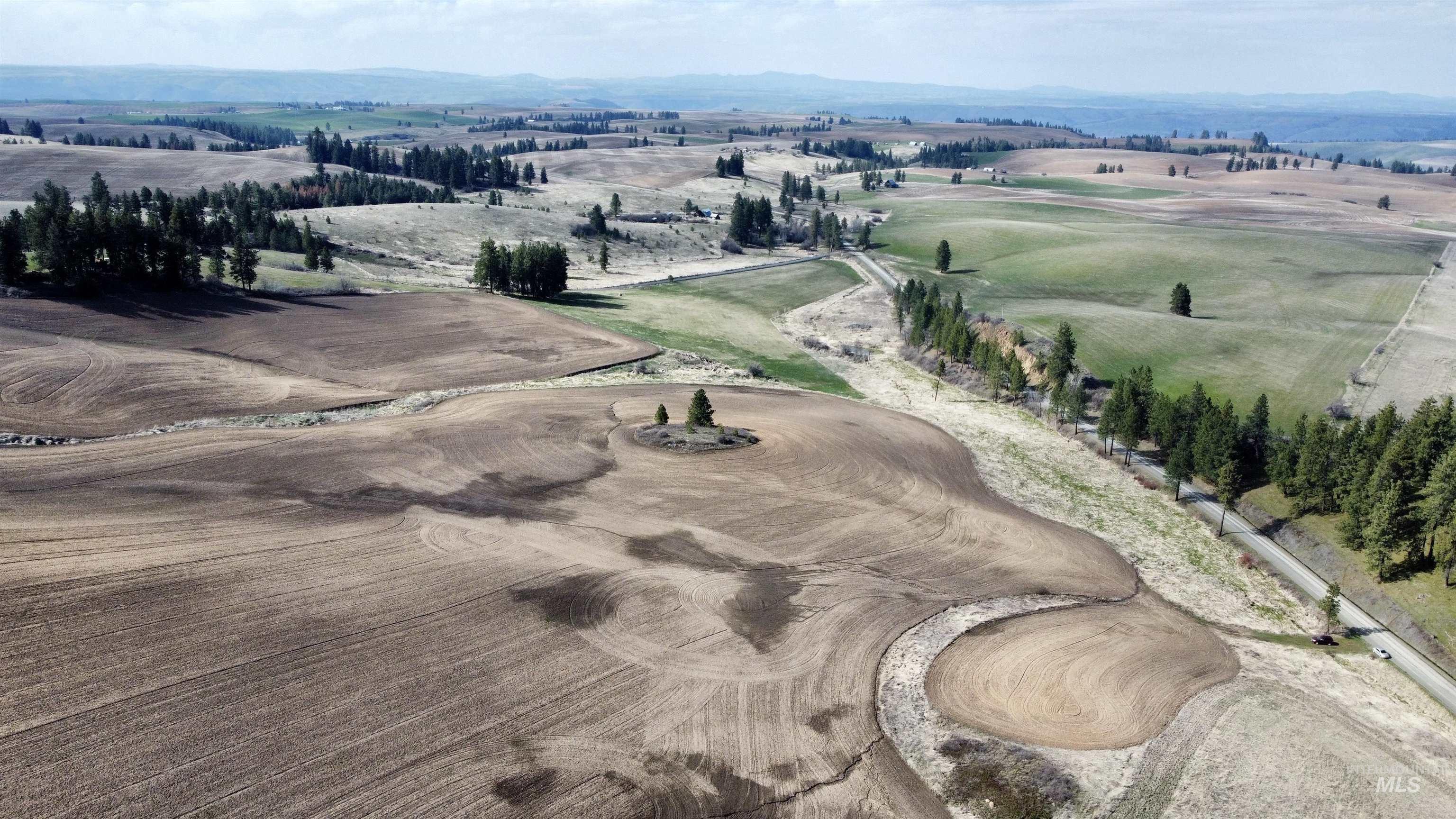 TBD Settlement Rd, Lenore, Idaho 83541, Land For Sale, Price $350,000,MLS 98972556