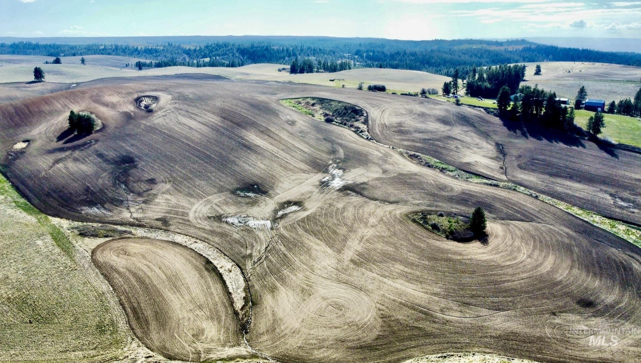 TBD Settlement Rd, Lenore, Idaho 83541, Land For Sale, Price $350,000,MLS 98972556