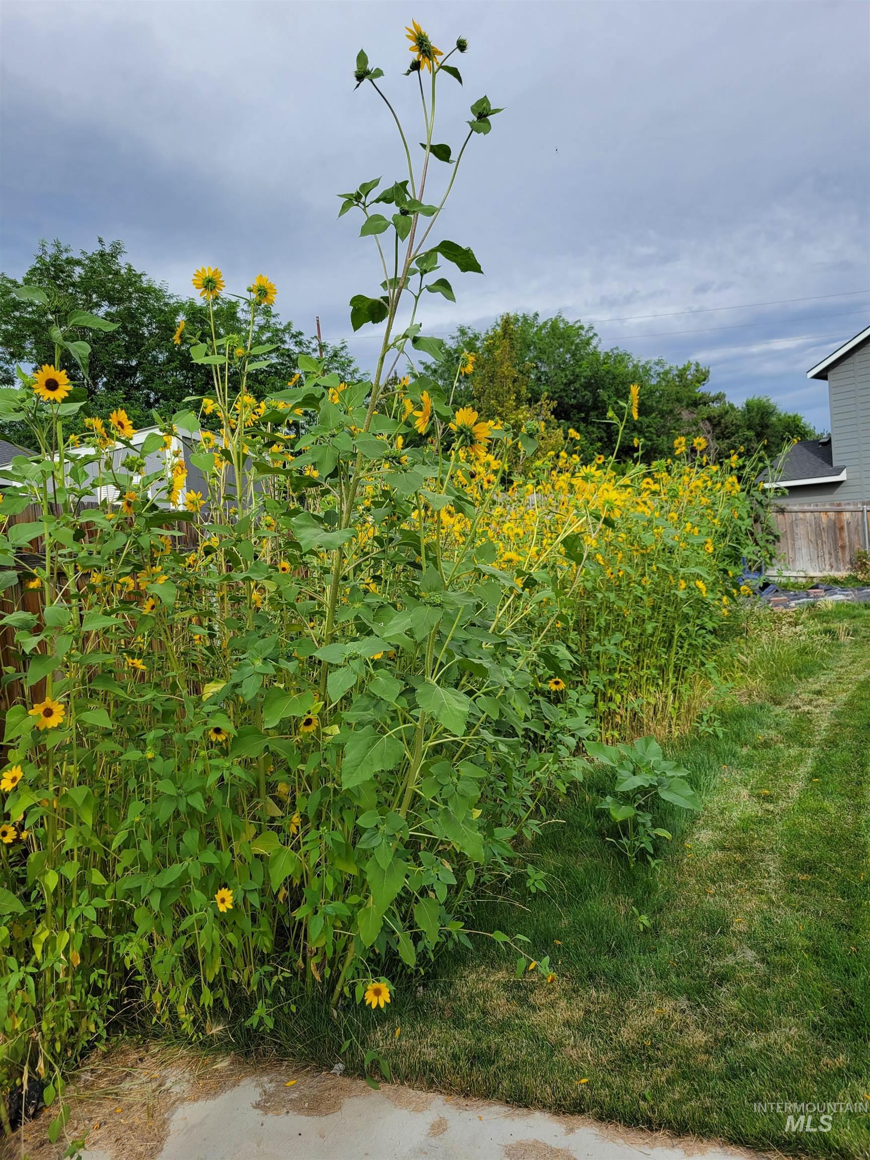 3530 S Clark Fork Ave., Nampa, Idaho 83686, 3 Bedrooms, 2 Bathrooms, Residential For Sale, Price $391,000,MLS 98972586