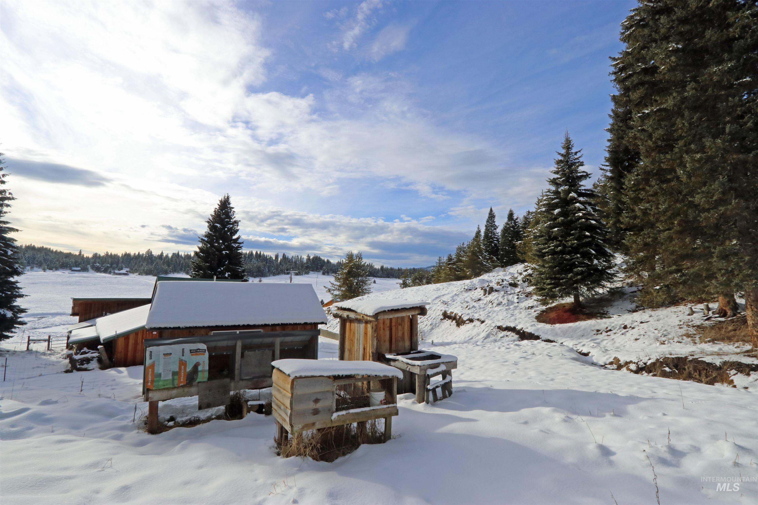 158 Little Elk Lane, Elk City, Idaho 83525, 3 Bedrooms, 2 Bathrooms, Farm & Ranch For Sale, Price $1,300,000,MLS 98972643