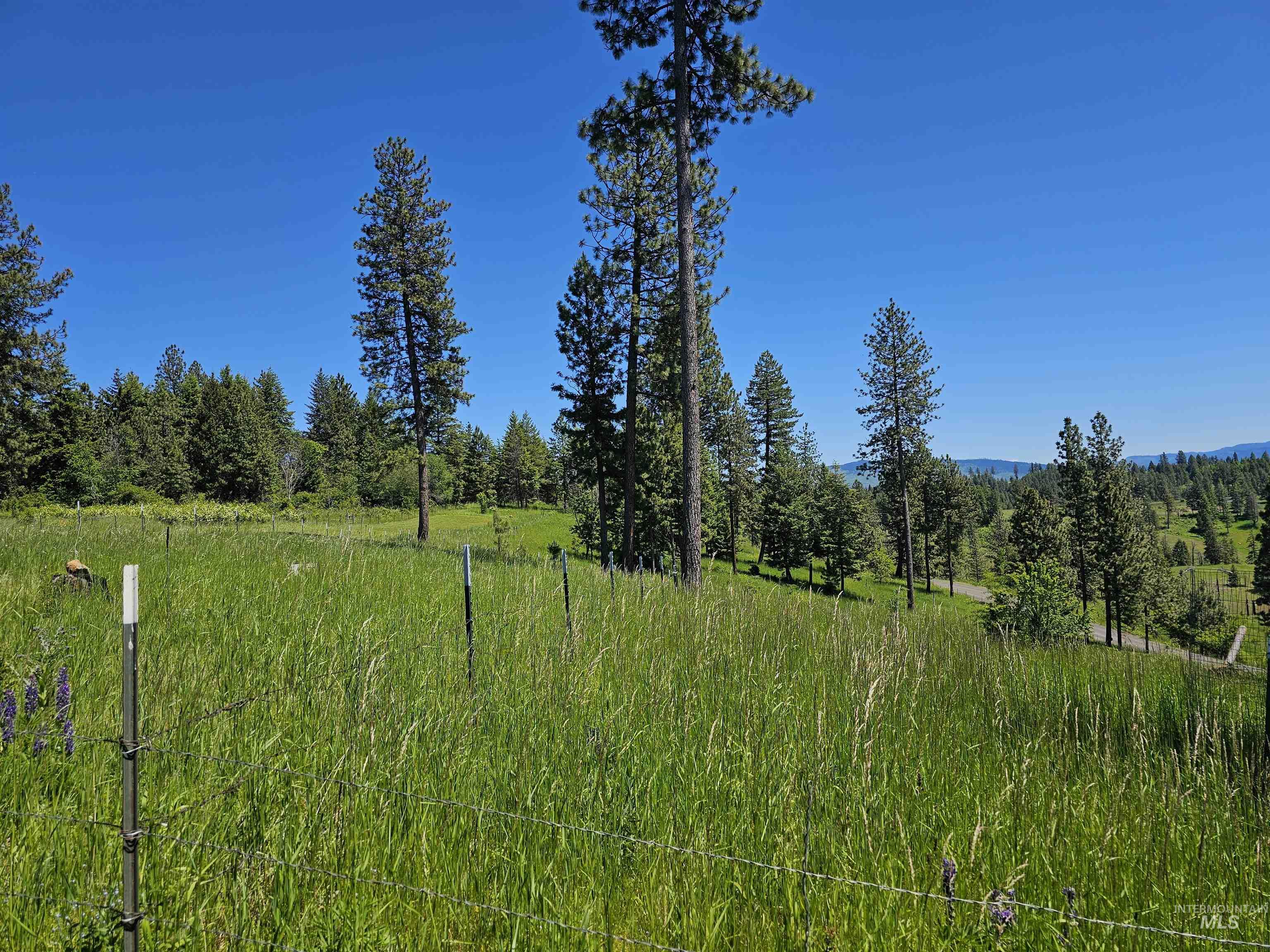 1151 Beaverslide Rd, Kamiah, Idaho 83536, 3 Bedrooms, 2.5 Bathrooms, Residential For Sale, Price $1,225,000,MLS 98972647