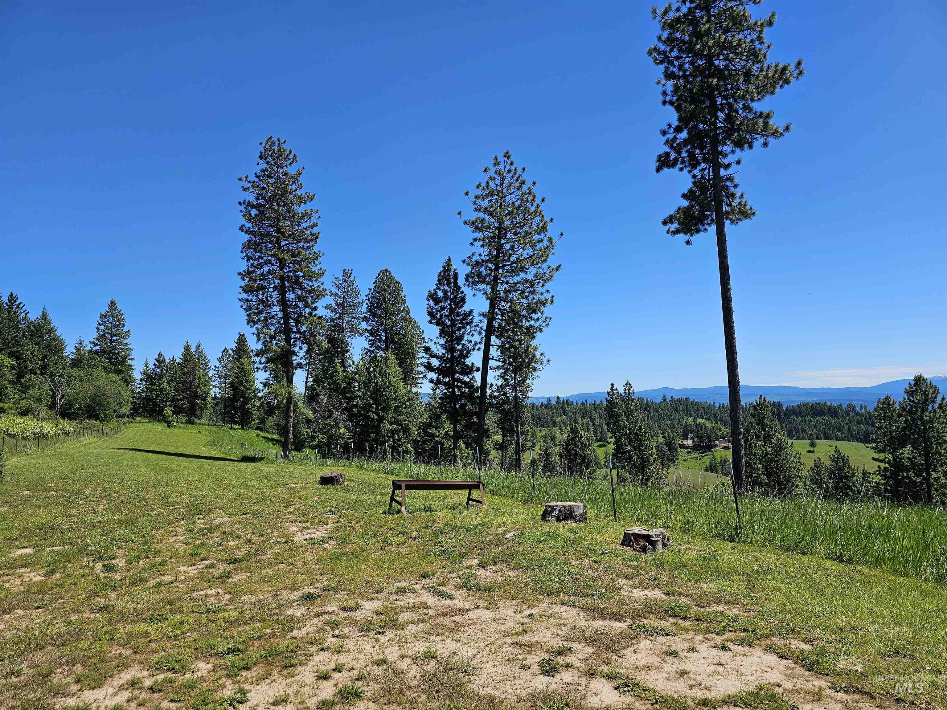 1151 Beaverslide Rd, Kamiah, Idaho 83536, 3 Bedrooms, 2.5 Bathrooms, Residential For Sale, Price $1,225,000,MLS 98972647