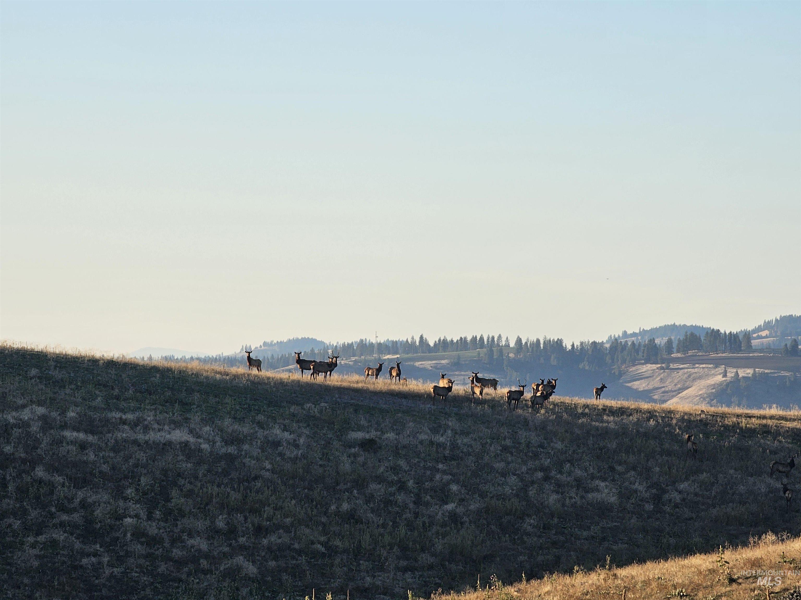 1151 Beaverslide Rd, Kamiah, Idaho 83536, 3 Bedrooms, 2.5 Bathrooms, Residential For Sale, Price $1,225,000,MLS 98972647