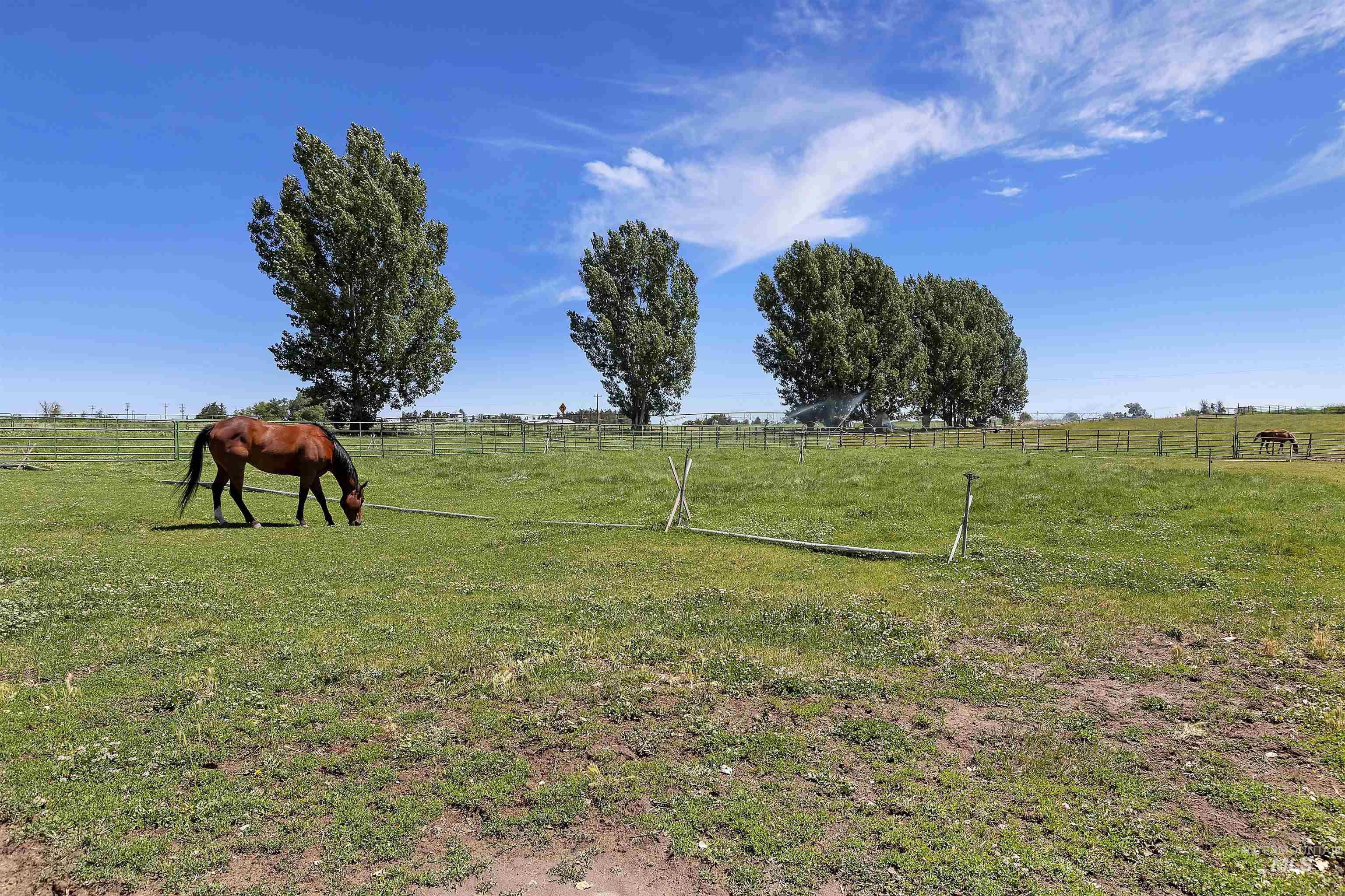 1289 E 2350 S, Bliss, Idaho 83314, 4 Bedrooms, 3 Bathrooms, Residential For Sale, Price $989,000,MLS 98972668