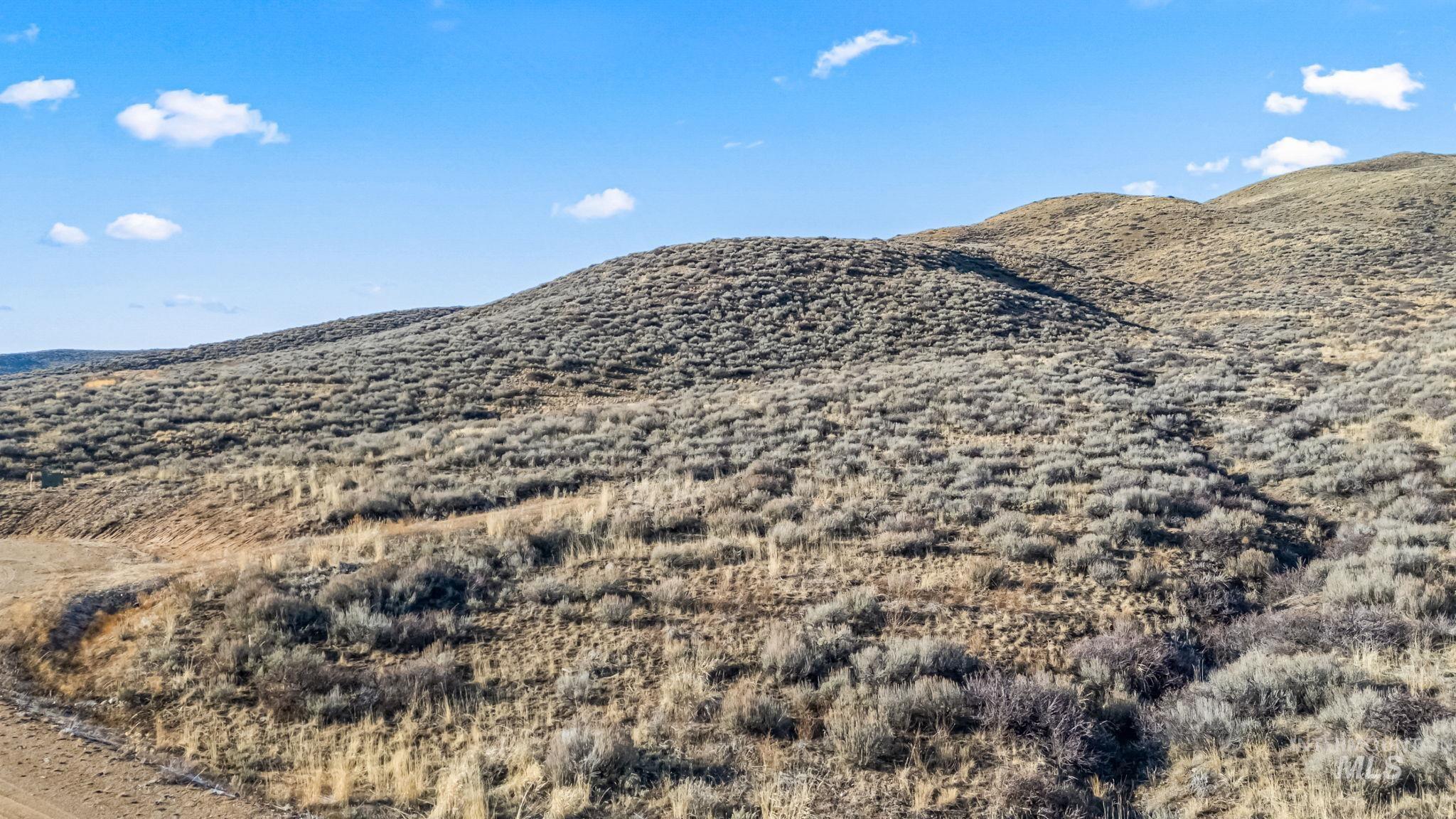 Lot 20 Buena Vista Loop, Fairfield, Idaho 83327, Land For Sale, Price $110,000,MLS 98972681