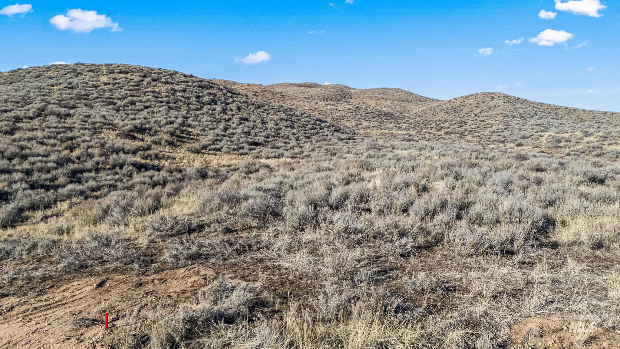 Lot 20 Buena Vista Loop, Fairfield, Idaho 83327, Land For Sale, Price $110,000,MLS 98972681