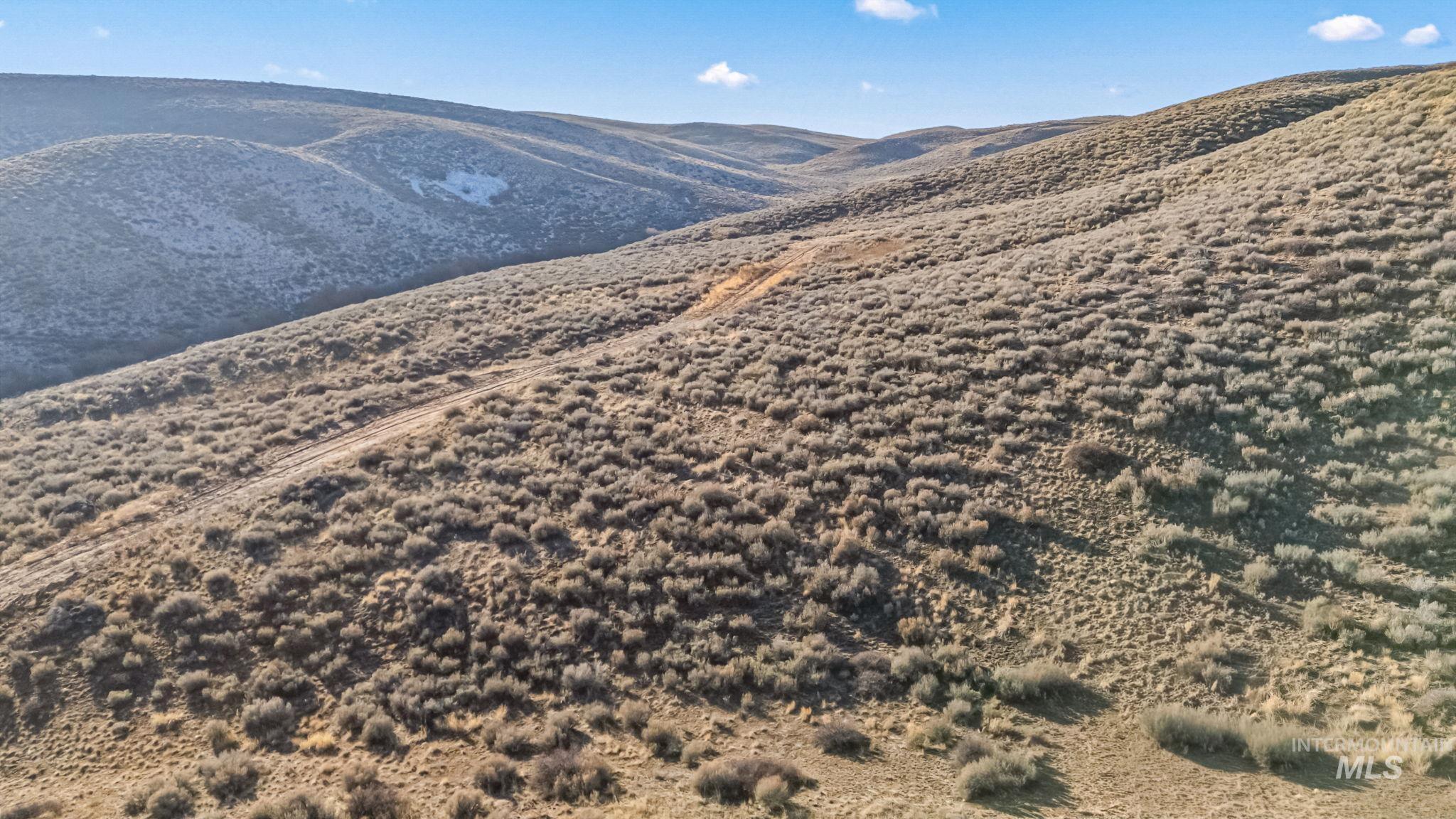 Lot 21 Buena Vista Loop, Fairfield, Idaho 83327, Land For Sale, Price $104,000,MLS 98972682