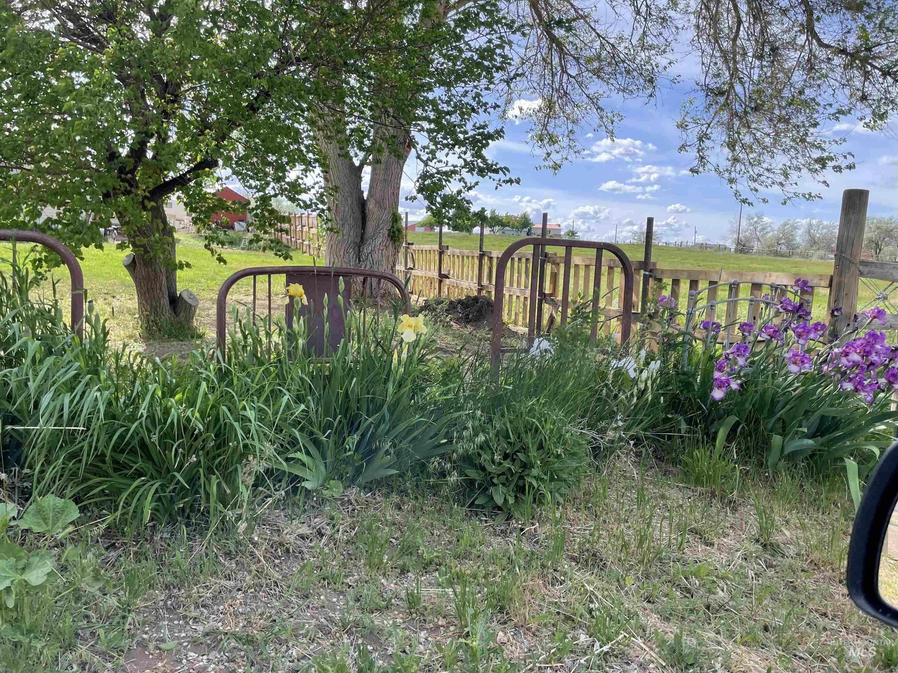 4343 N 1200 E, Buhl, Idaho 83316, Land For Sale, Price $330,000,MLS 98972705