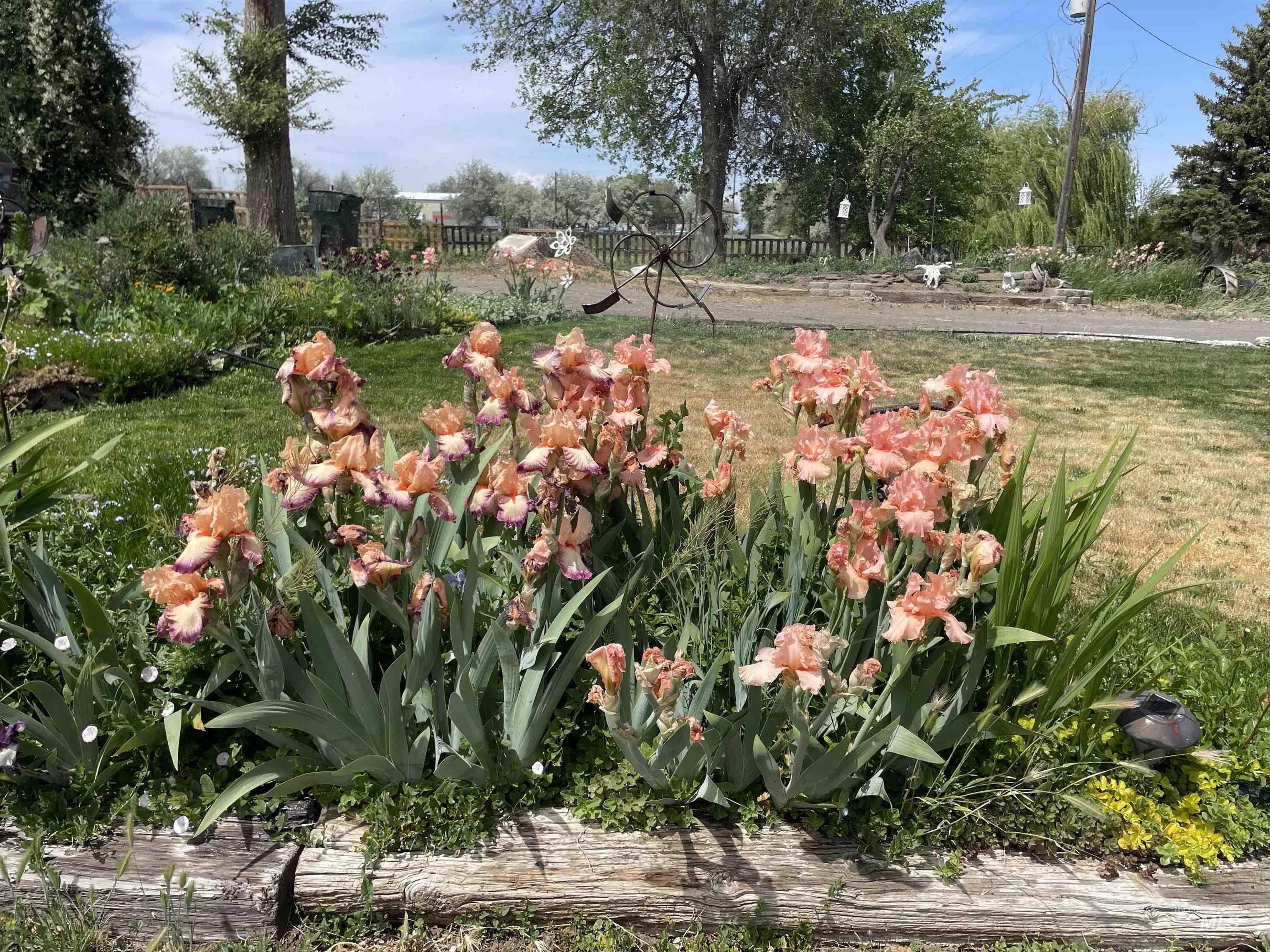 4343 N 1200 E, Buhl, Idaho 83316, Land For Sale, Price $330,000,MLS 98972705